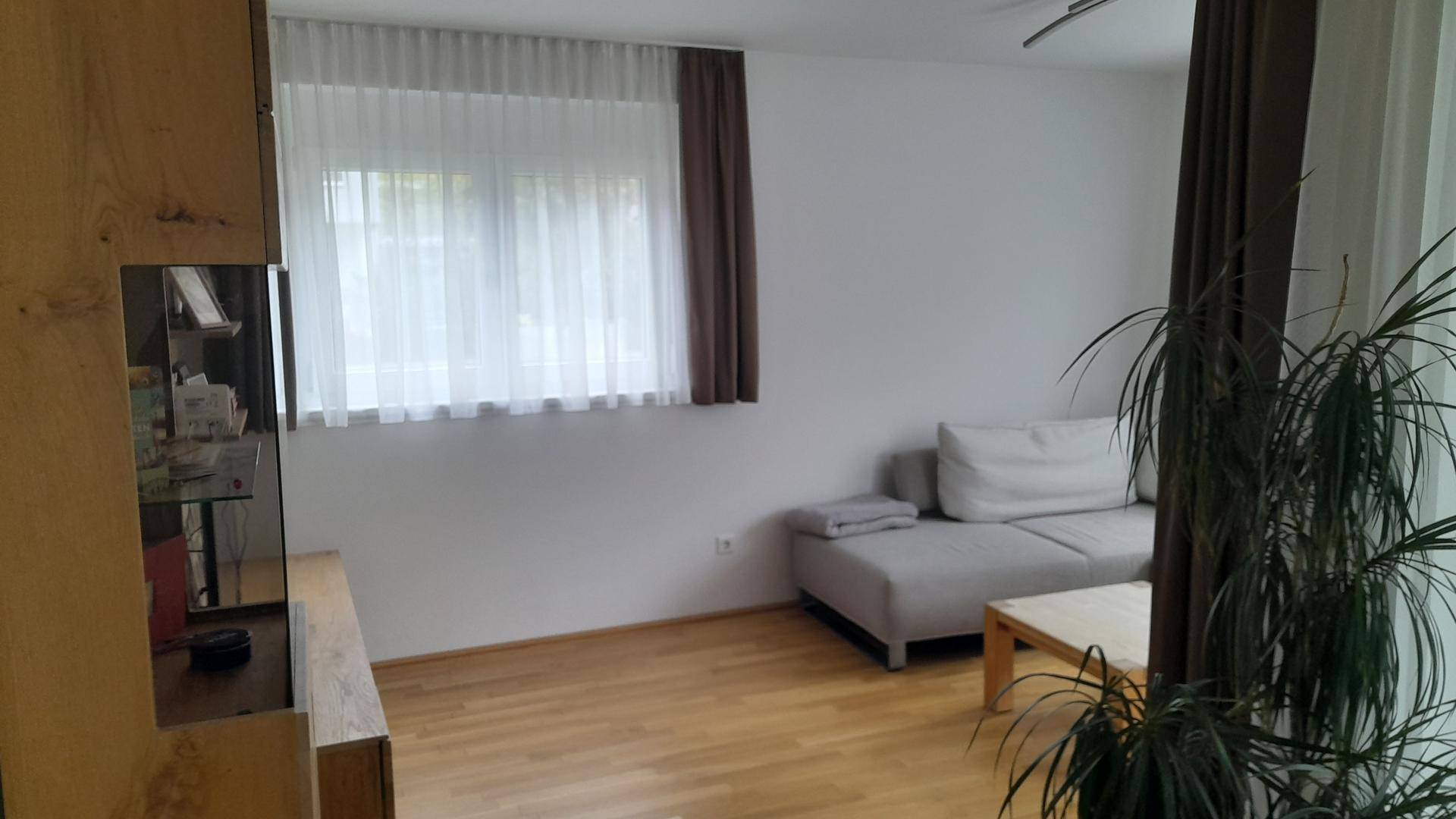 Gemütliches Wohnzimmer mit hellem Holzboden, grauem Sofa und einer großen Zimmerpflanze.
