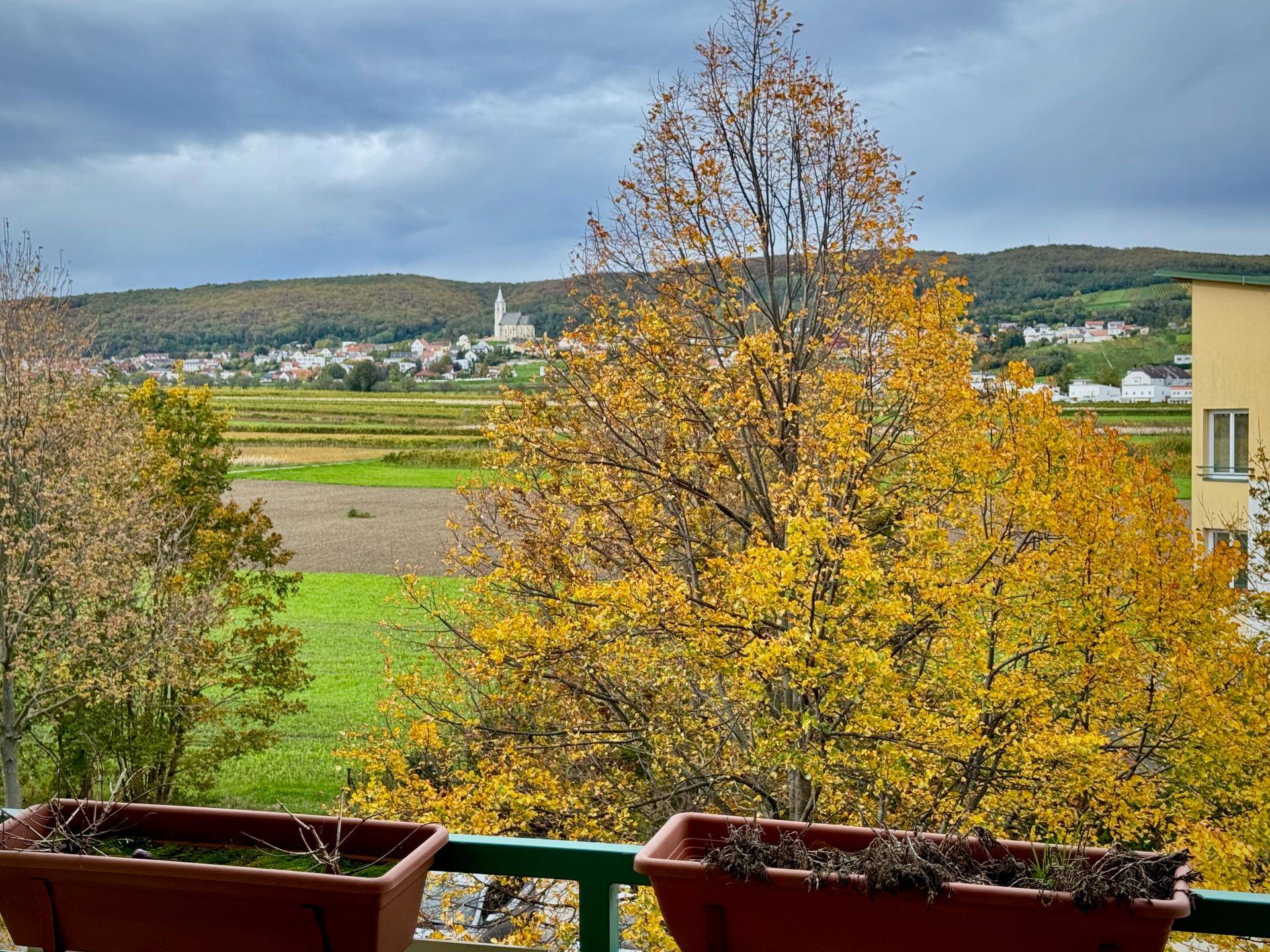 Herrlicher Grünblick