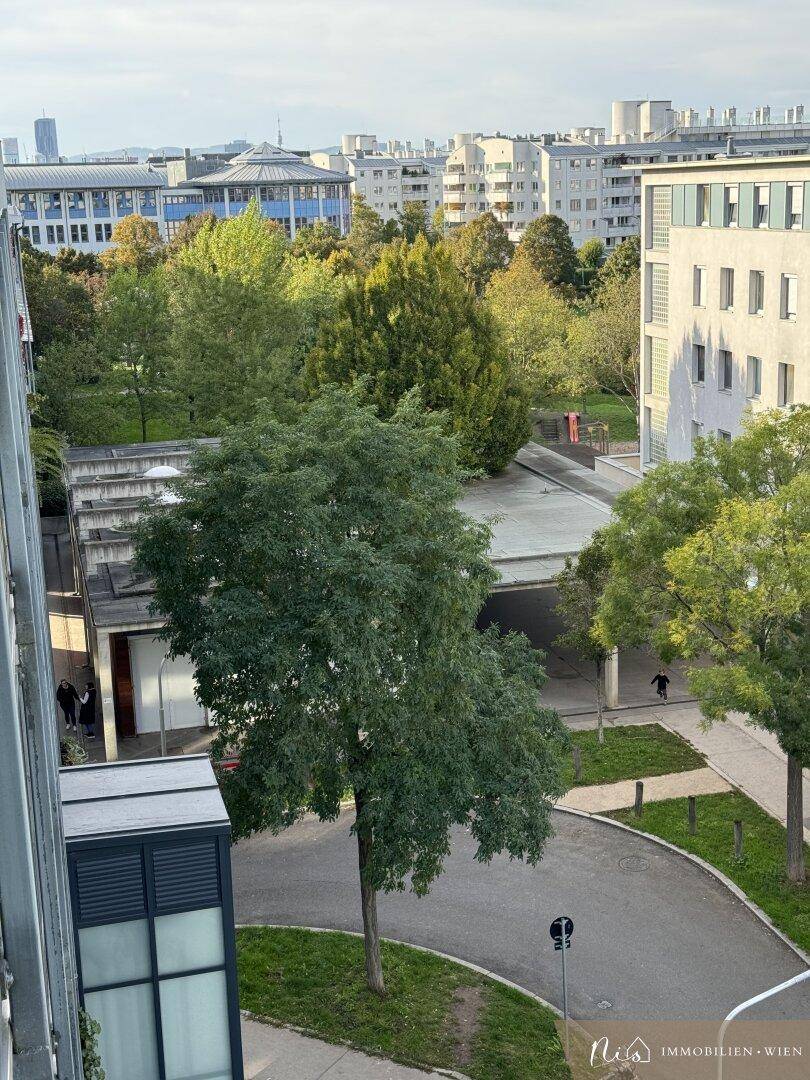 Blick auf eine ruhige Wohnstraße mit Bäumen und umliegenden Gebäuden.