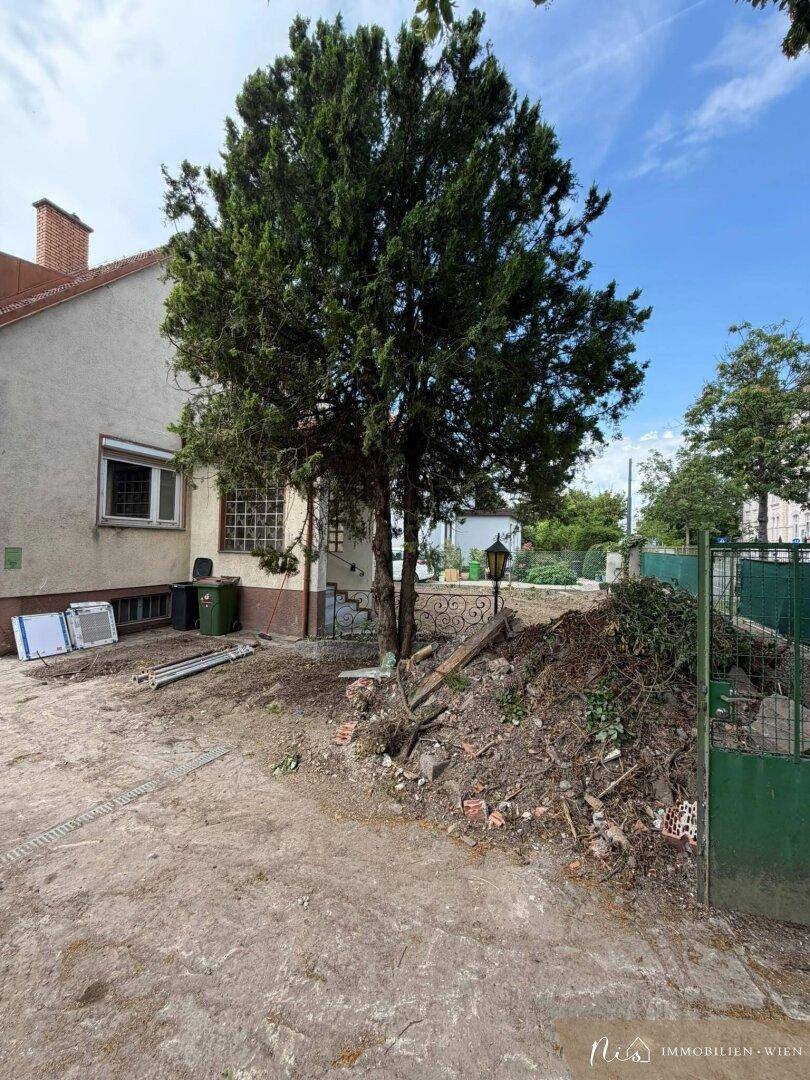 Seitenansicht des Hauses mit einem großen Baum und einem grünen Gartentor.
