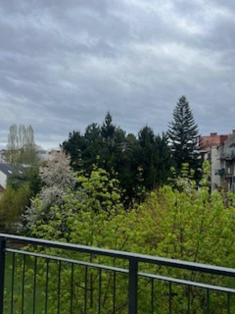 Weitläufiger Blick ins Grüne von einem Balkon mit umliegenden Gebäuden unter bewölktem Himmel.