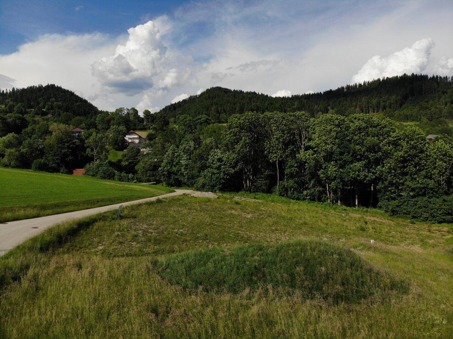 Grundstück mit Zufahrtsweg, umgeben von dichtem Wald und grünen Hügeln in ländlicher Idylle.