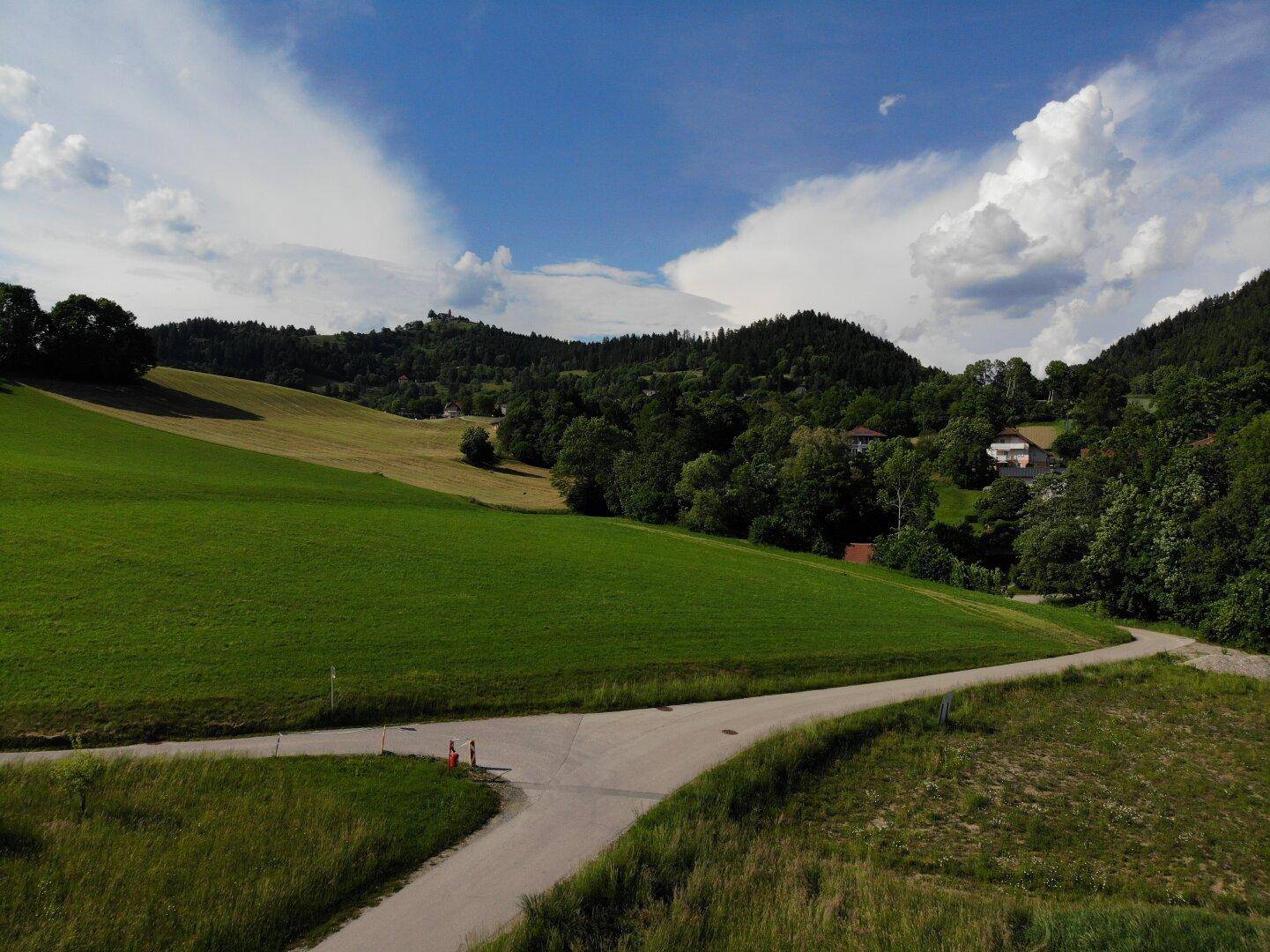Zufahrtsstraße schlängelt sich durch grüne Wiesen und Wälder mit vereinzelten Häusern in der Ferne.