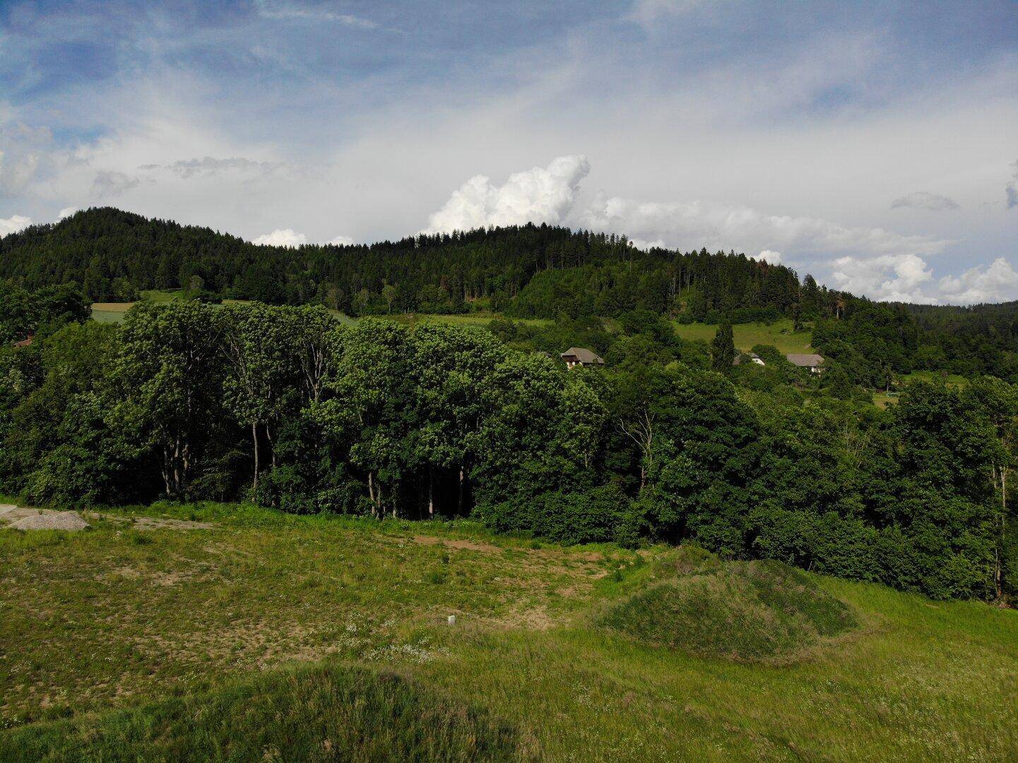 Grundstück am Waldrand mit Blick auf die bewaldeten Hügel und die weite, unberührte Landschaft.