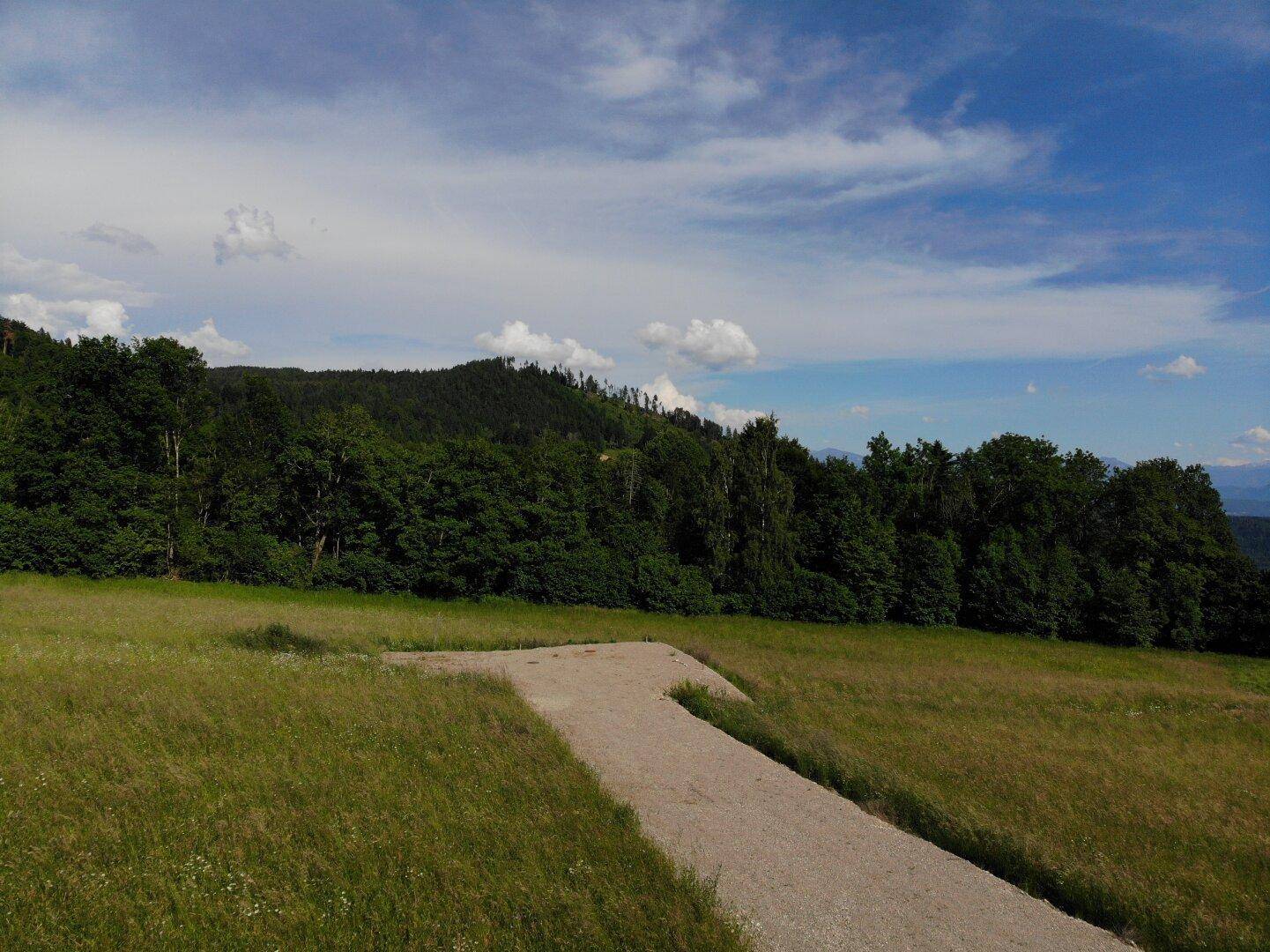 Grundstück mit Zufahrtsweg am Waldrand und Blick auf die bewaldeten Hügel unter blauem Himmel.