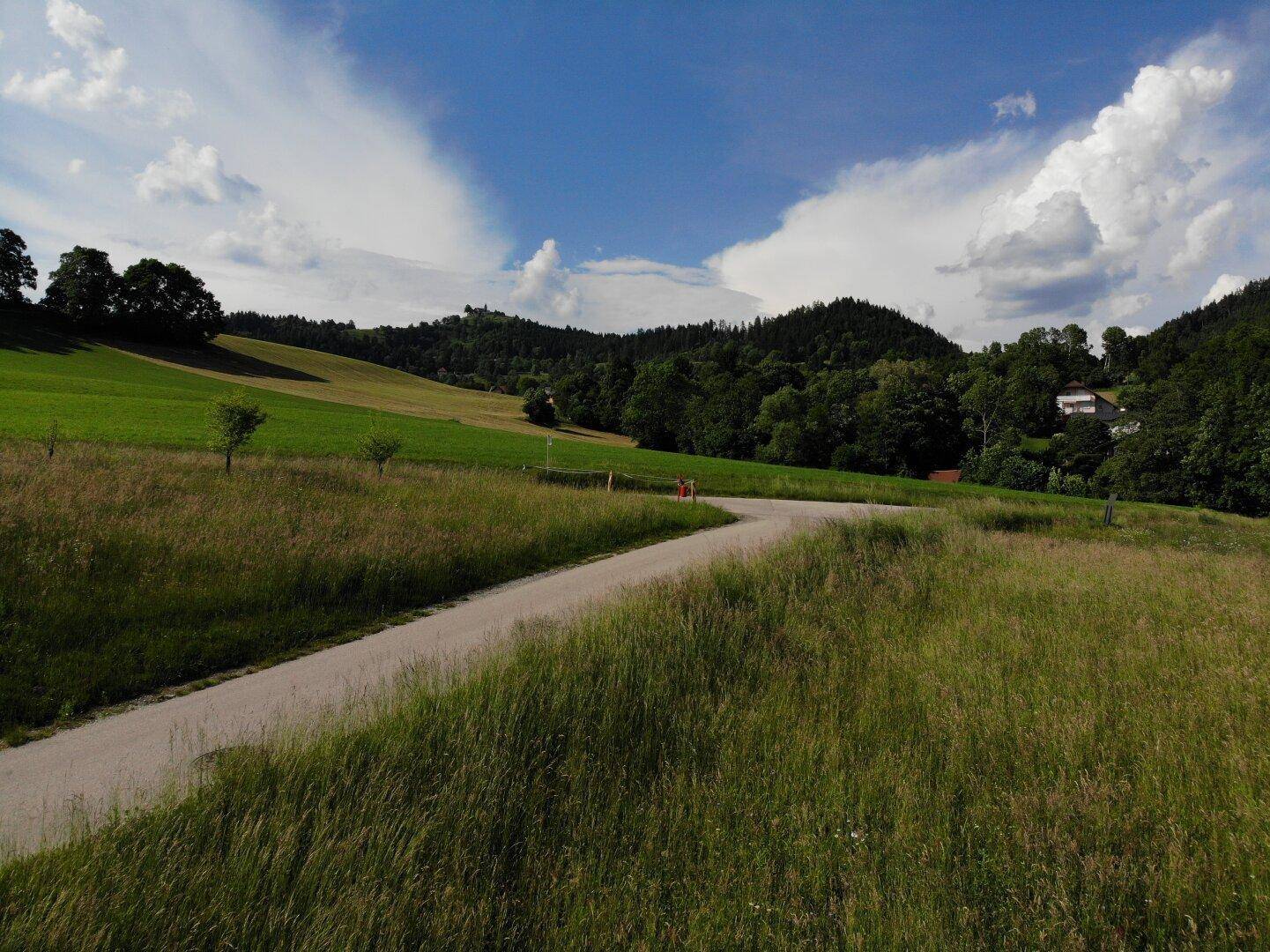 Zufahrtsstraße schlängelt sich durch grüne Wiesen und Wälder mit vereinzelten Häusern in der Ferne.