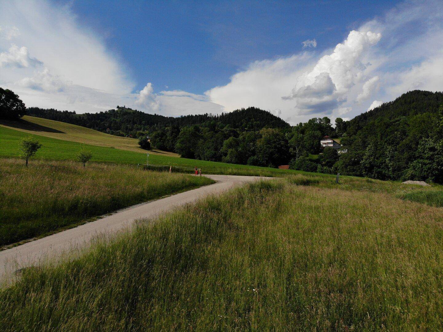 Zufahrtsstraße schlängelt sich durch grüne Wiesen und Wälder mit vereinzelten Häusern in der Ferne.