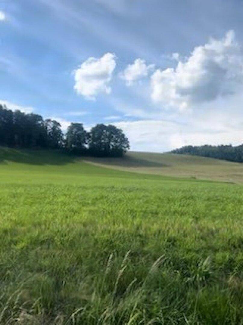 Idyllische Landschaft mit sanften grünen Hügeln, Bäumen und einem klaren blauen Himmel mit Wolken.