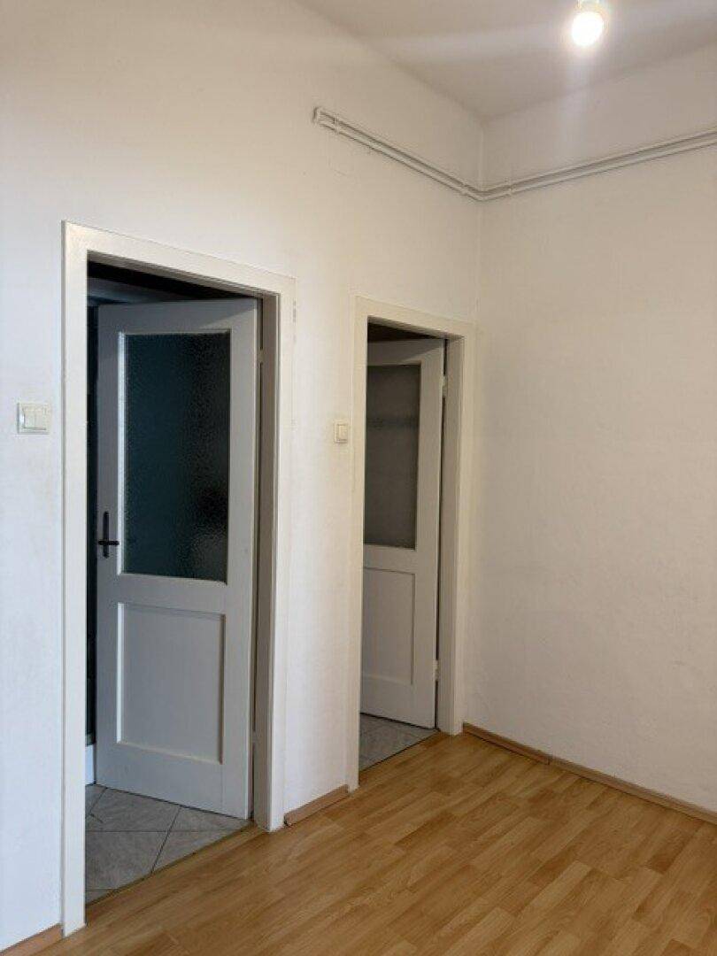 Heller Raum mit Holzfußboden und zwei Türen, eine davon mit Milchglas.