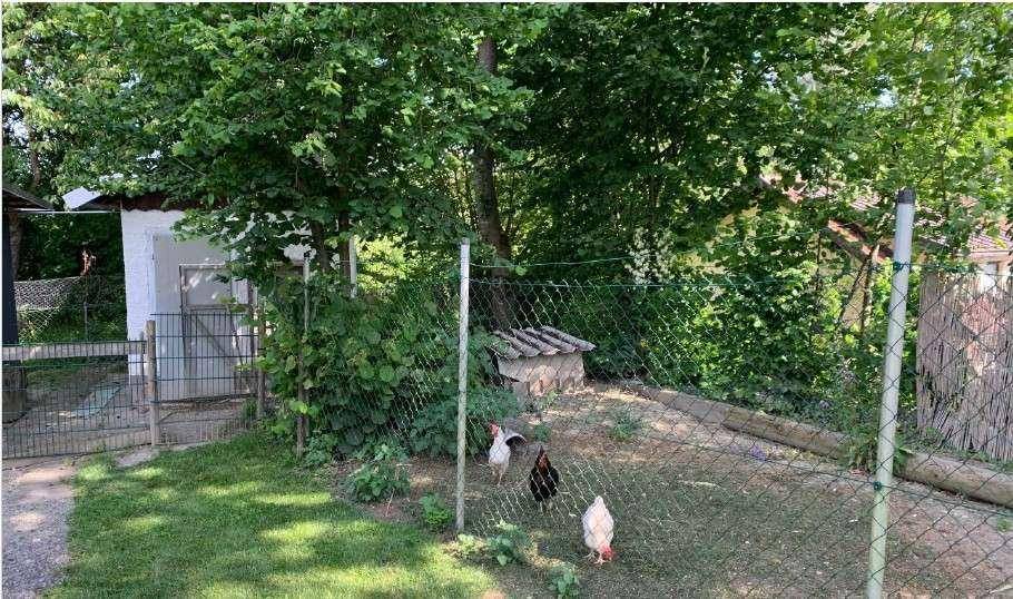 Eingezäunter Bereich im Garten mit Hühnern und einem kleinen Unterstand unter Bäumen.