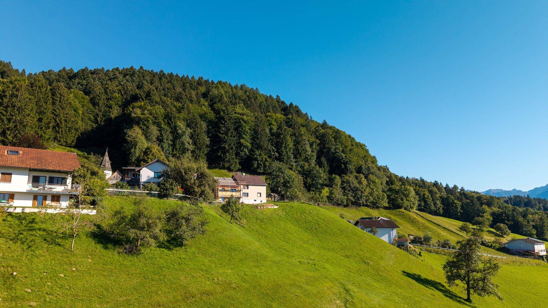 Häuser auf einem grünen Hang, umgeben von dichtem Wald unter einem klaren blauen Himmel.