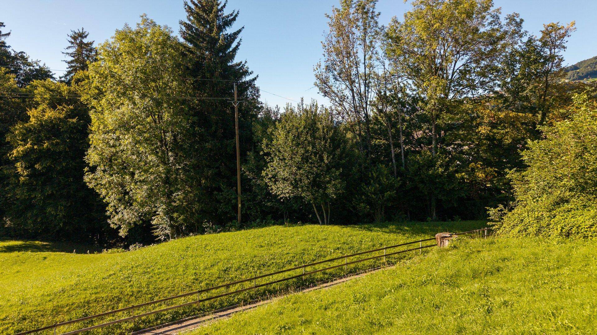 Grüner Hang mit Bäumen und einem Zaun im Vordergrund, unter strahlendem Sonnenschein.