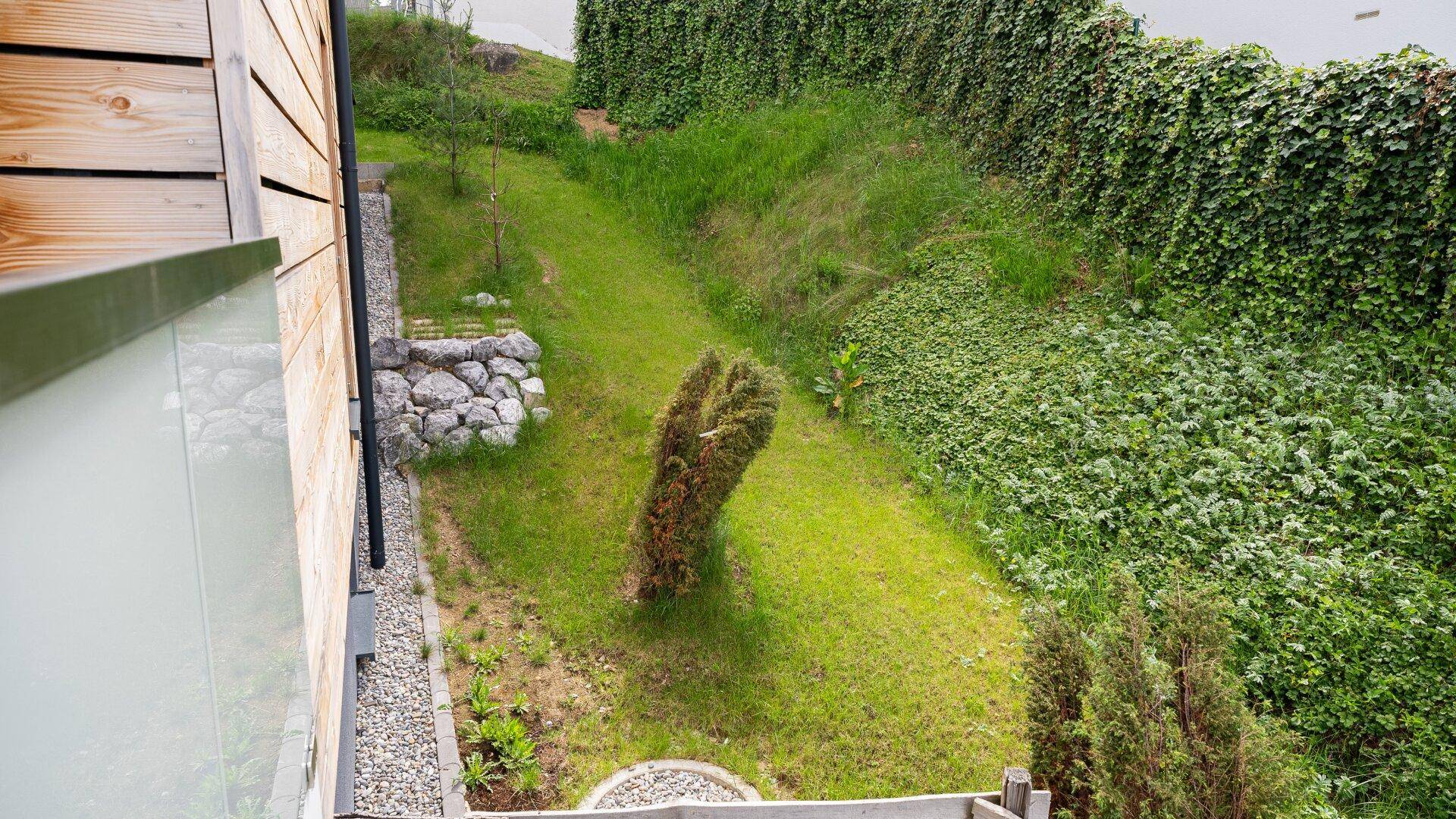 Grüner Gartenbereich mit Rasen und Bepflanzung, umgeben von Hecken.