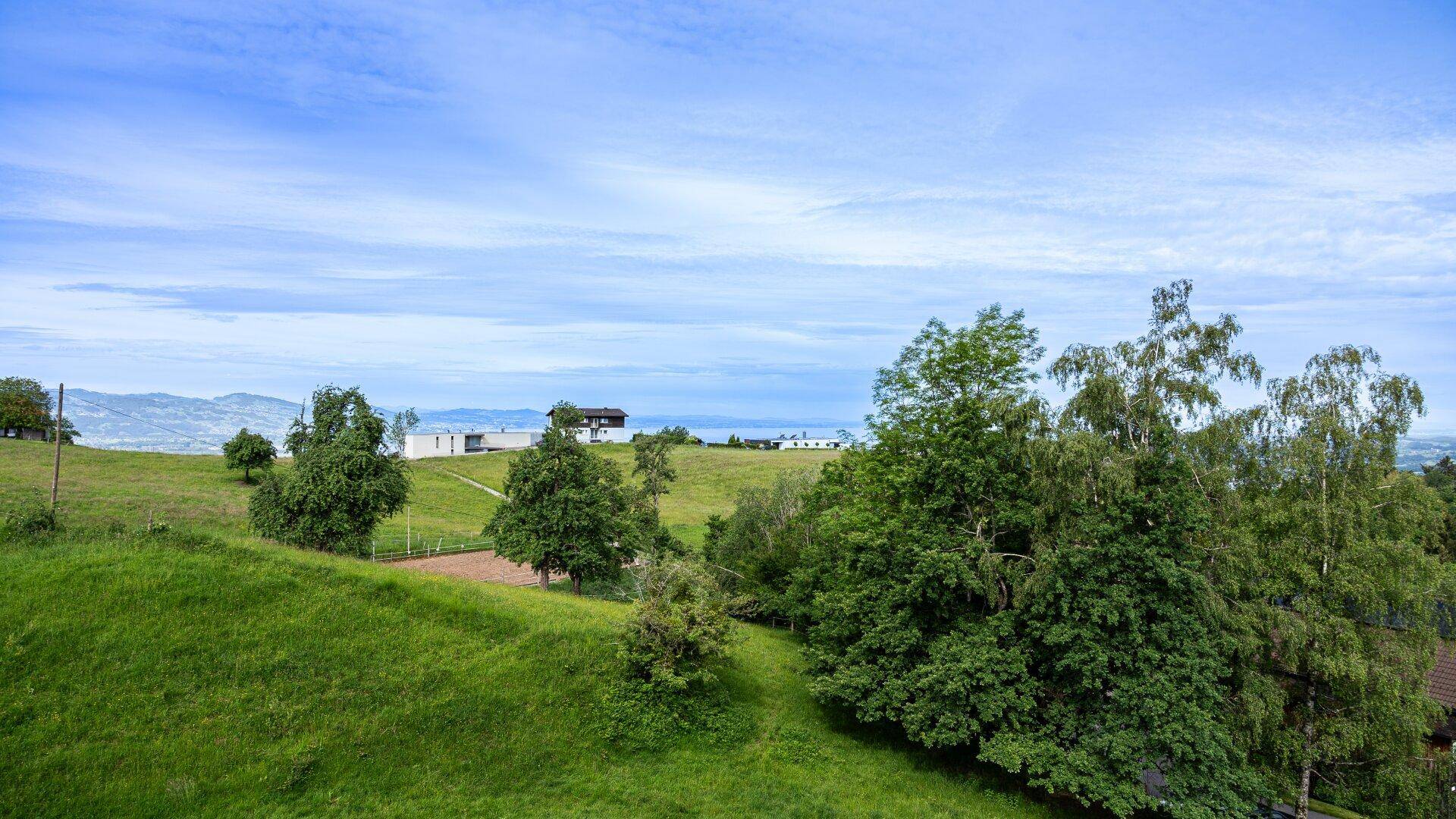 Weitläufige grüne Hügellandschaft mit Bäumen und einem See in der Ferne unter blauem Himmel.