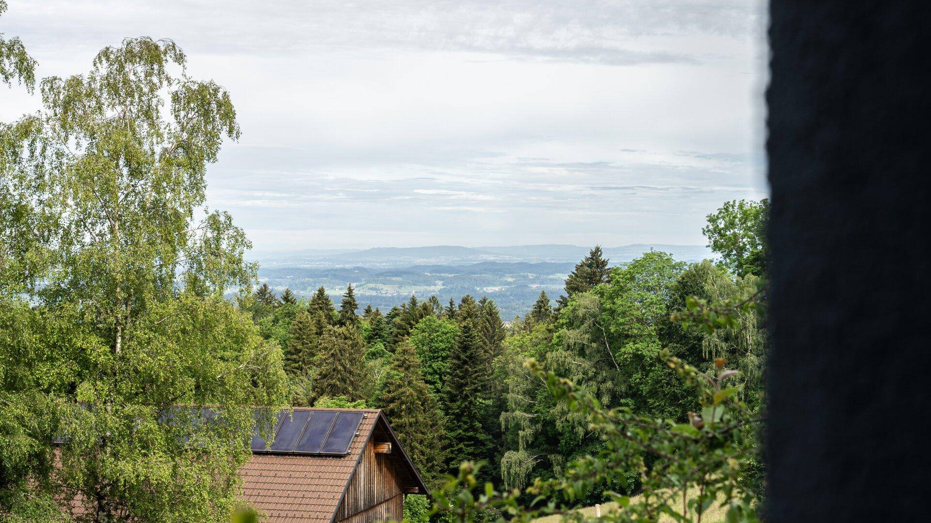 Blick auf eine bewaldete Hügellandschaft mit einem Haus und Solarpaneelen auf dem Dach.