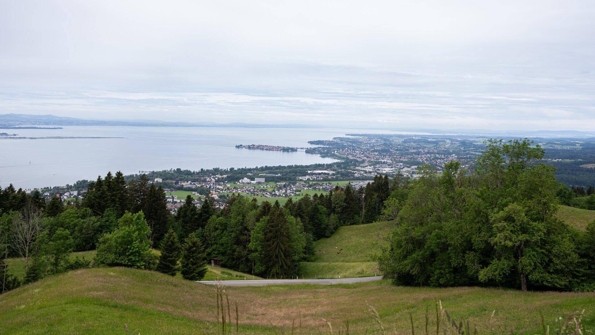 Panoramablick über eine grüne Landschaft mit einem See und einer Stadt am Ufer.