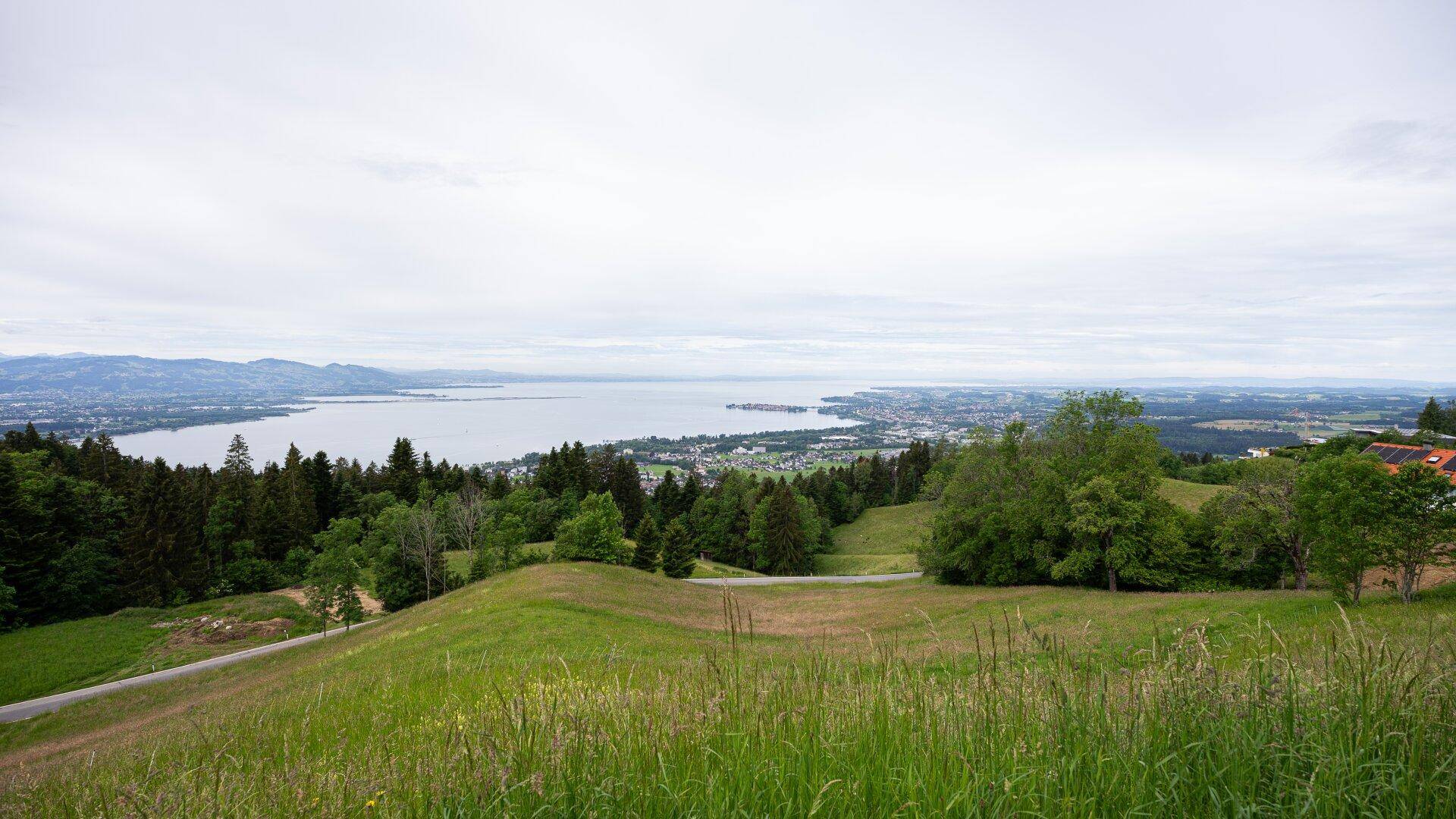 Weitläufige grüne Landschaft mit einem großen See und bewaldeten Ufern unter hellem Himmel.