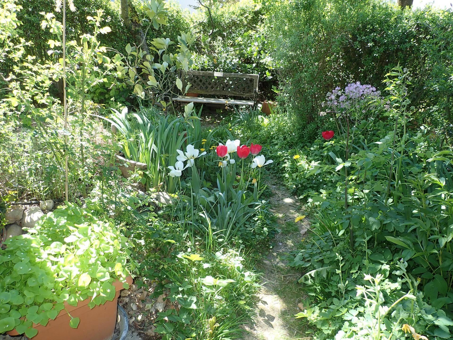 Idyllischer Gartenweg führt durch blühende Blumenbeete zu einer versteckten Gartenbank im Grünen.