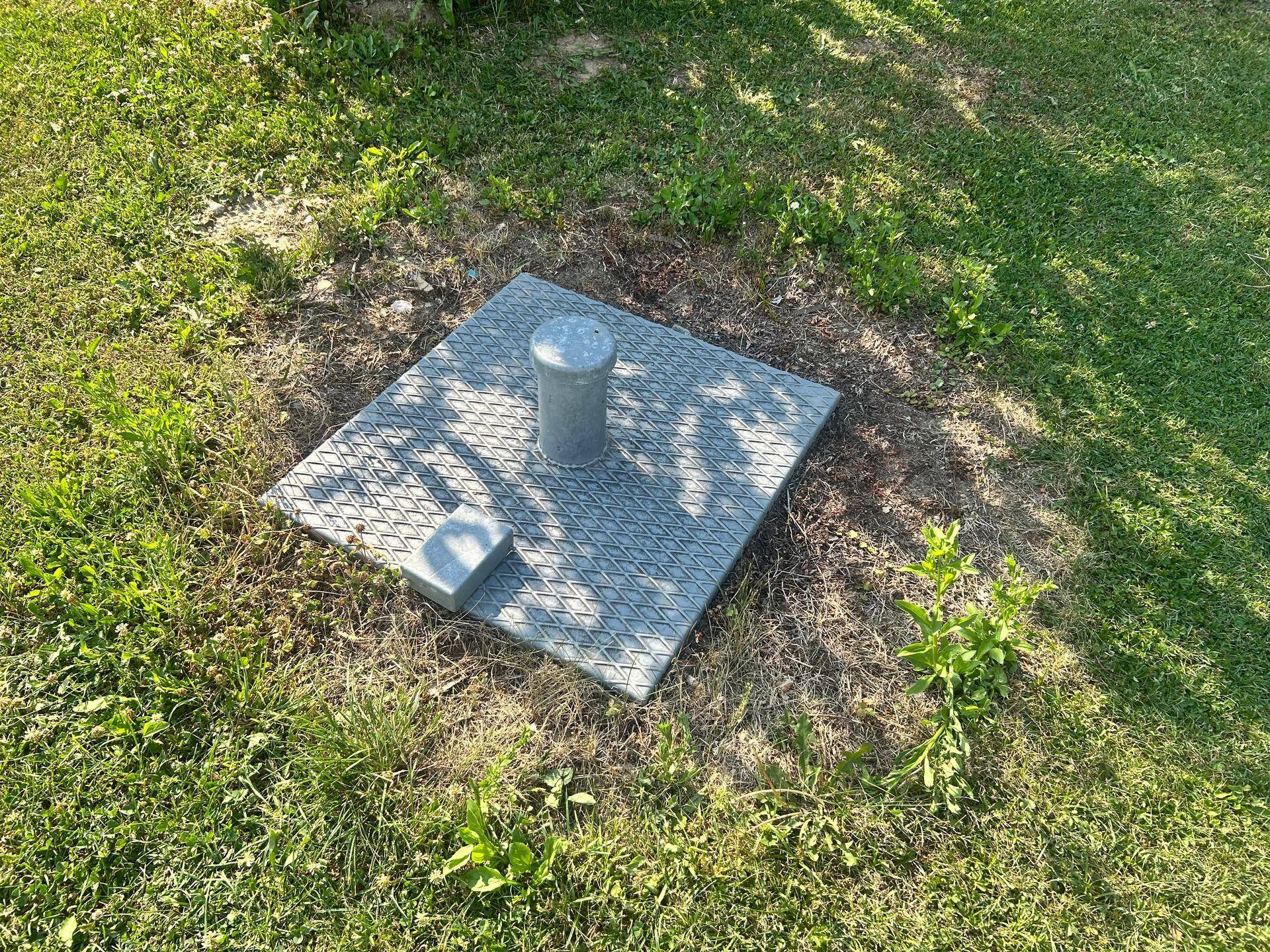 Detailansicht einer unscheinbaren Bodenabdeckung im grünen Rasen des Gartens.