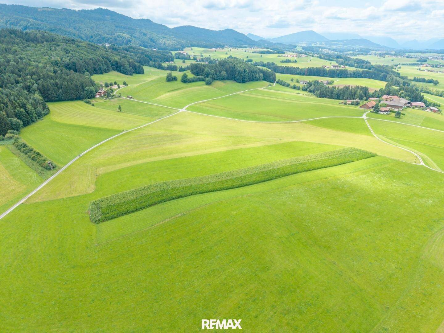Aussicht auf eine weite grüne Ebene mit einem langen Feldstreifen, umrahmt von Wäldern und Bergen im Hintergrund.