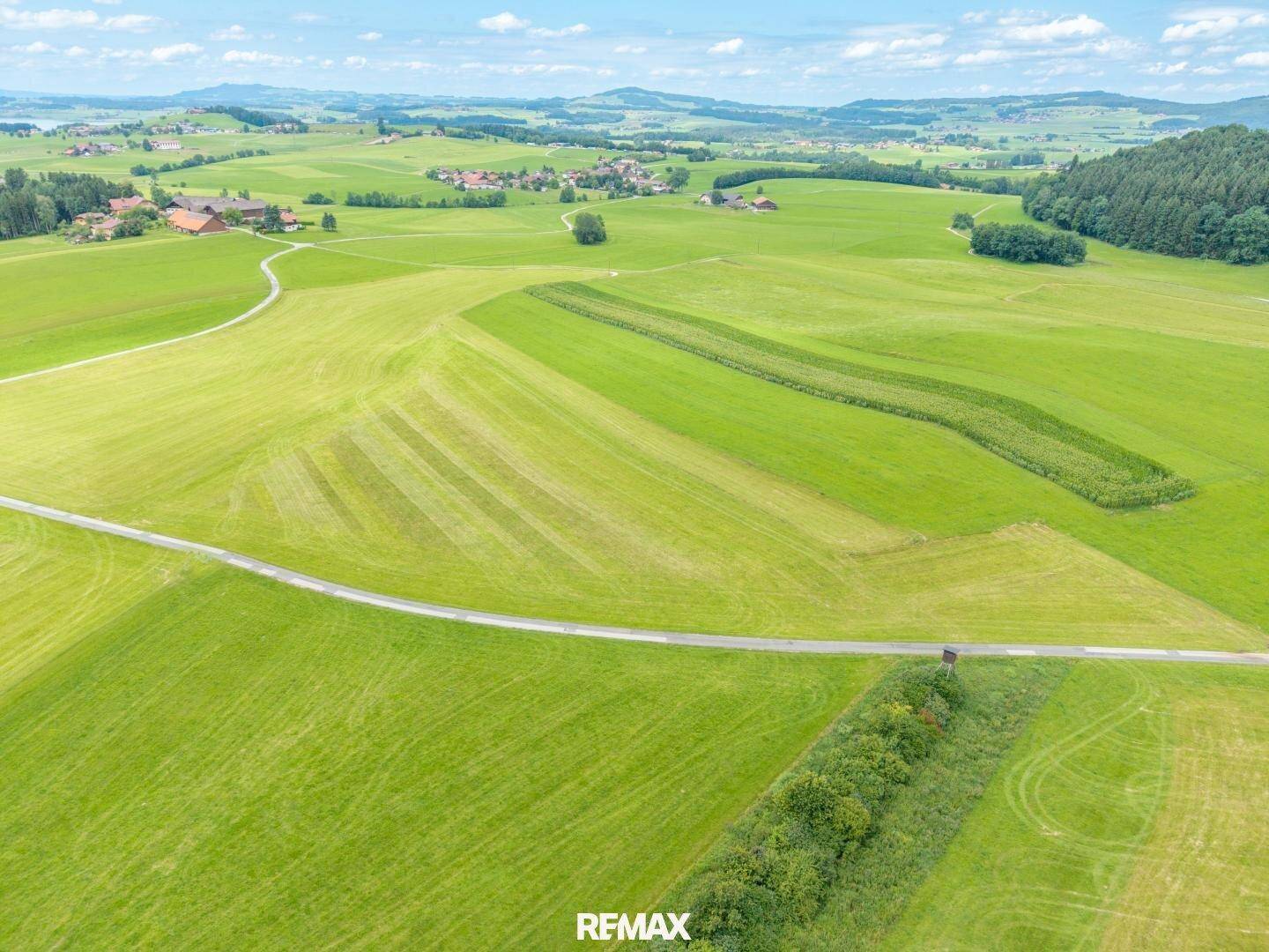 Luftaufnahme einer ländlichen Landschaft mit grünen Feldern, einem gewundenen Weg und einem Dorf in der Ferne.