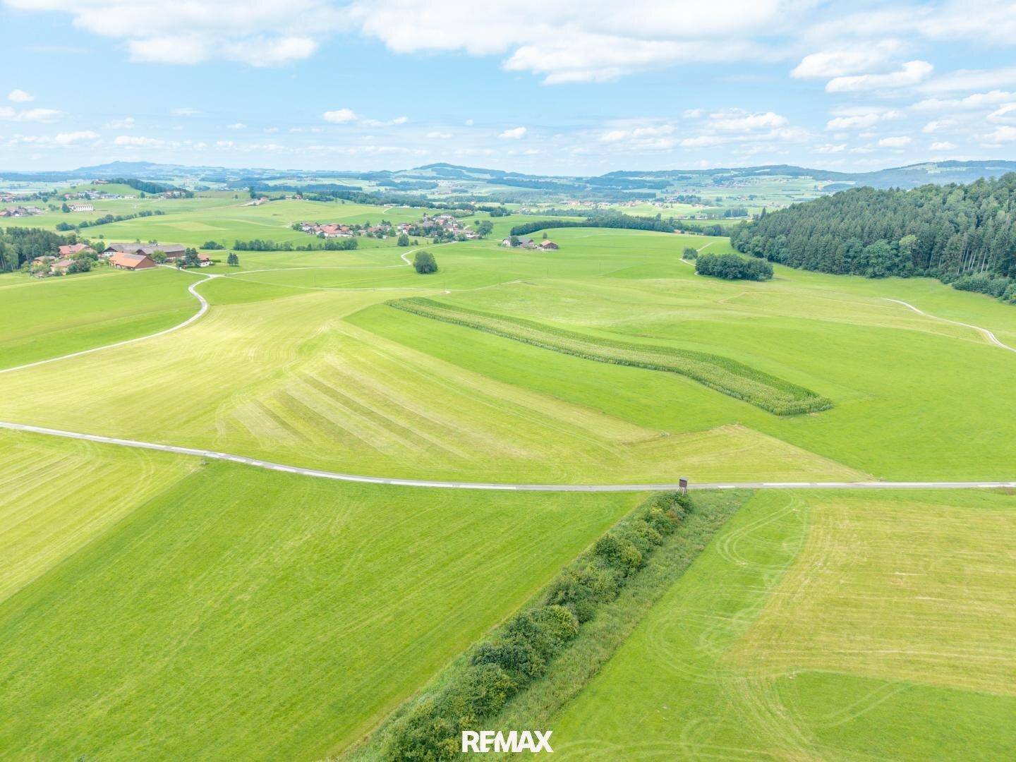 Idyllische ländliche Szenerie aus der Vogelperspektive mit weiten grünen Flächen und einem kleinen Dorf am Horizont.