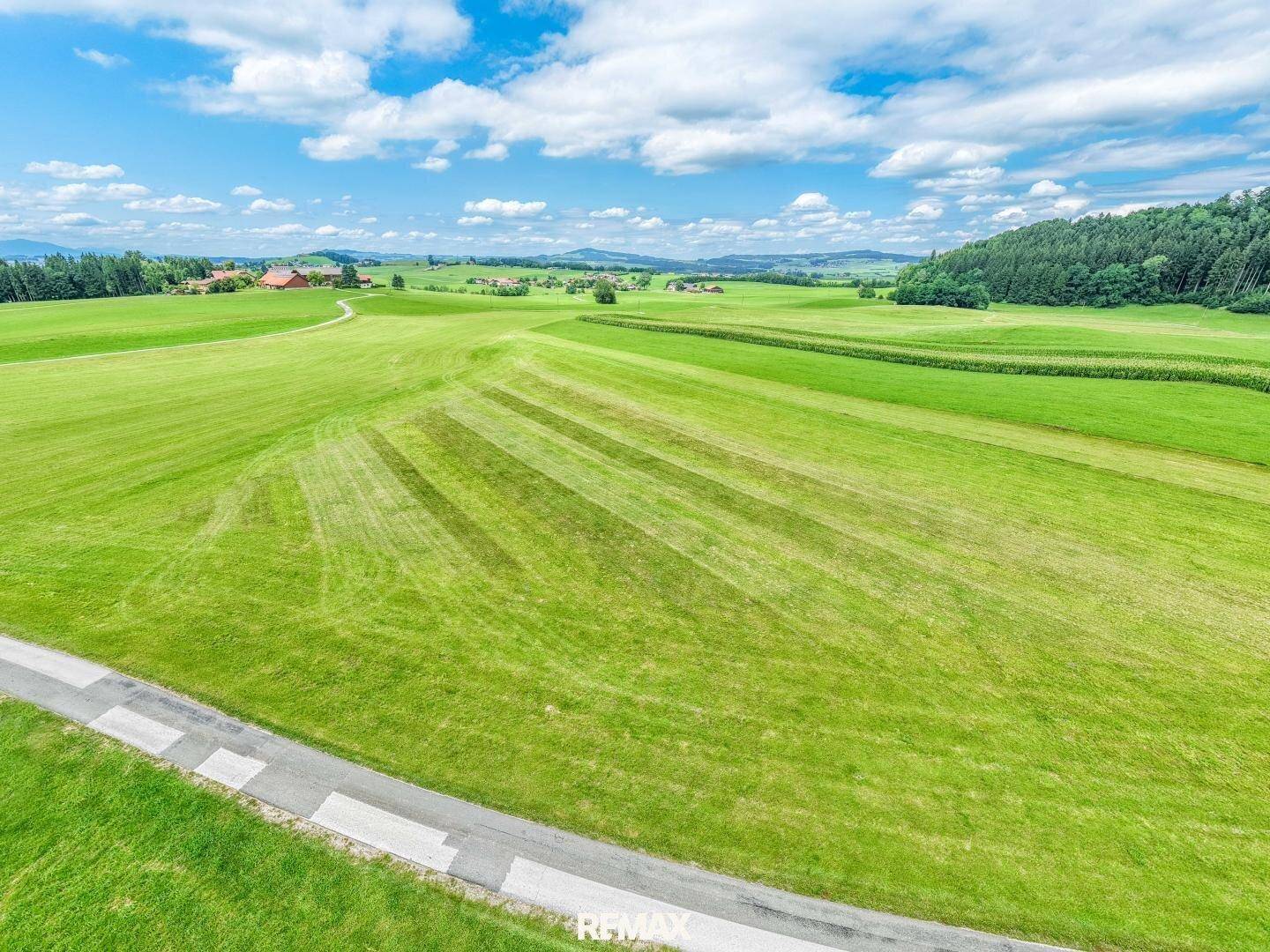 Panoramablick über ausgedehnte grüne Wiesen und Felder mit einem Weg im Vordergrund und Häusern am Horizont.