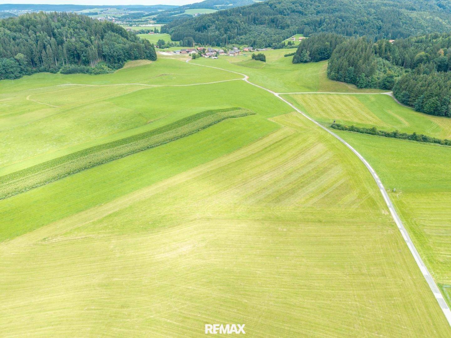 Luftbild einer ausgedehnten grünen Landschaft mit Feldern, Wegen und einem kleinen Dorf, umgeben von Wäldern.