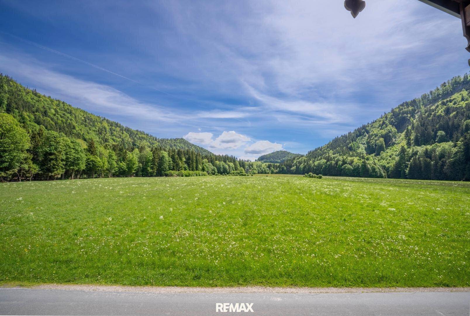 Malerischer Ausblick auf weite grüne Wiesen und bewaldete Hügel unter blauem Himmel.