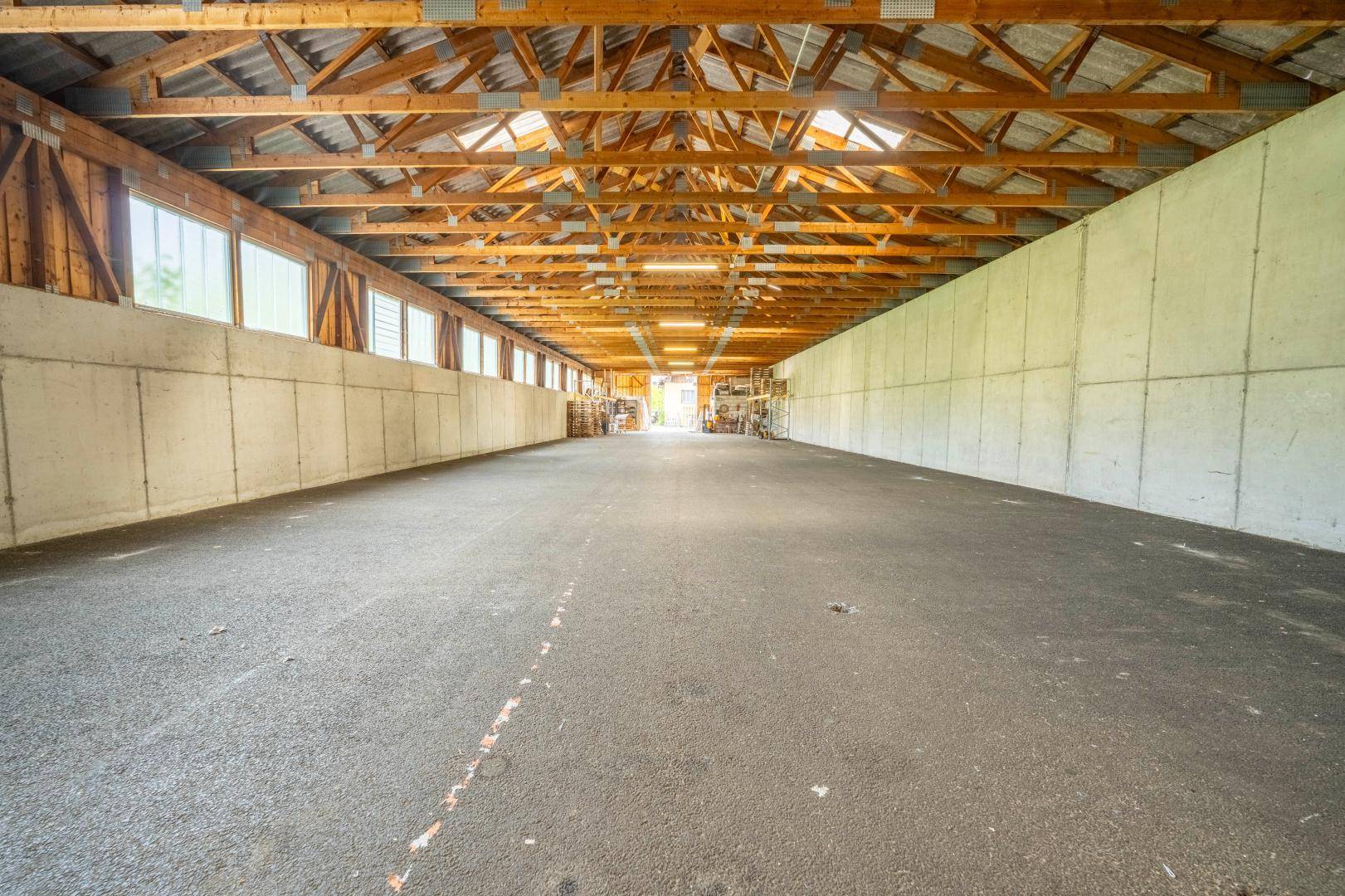 Ihr neuer Betriebsstandort in Ebenau – 577 m² Gewerbehalle nahe Salzburg - Ansicht 3