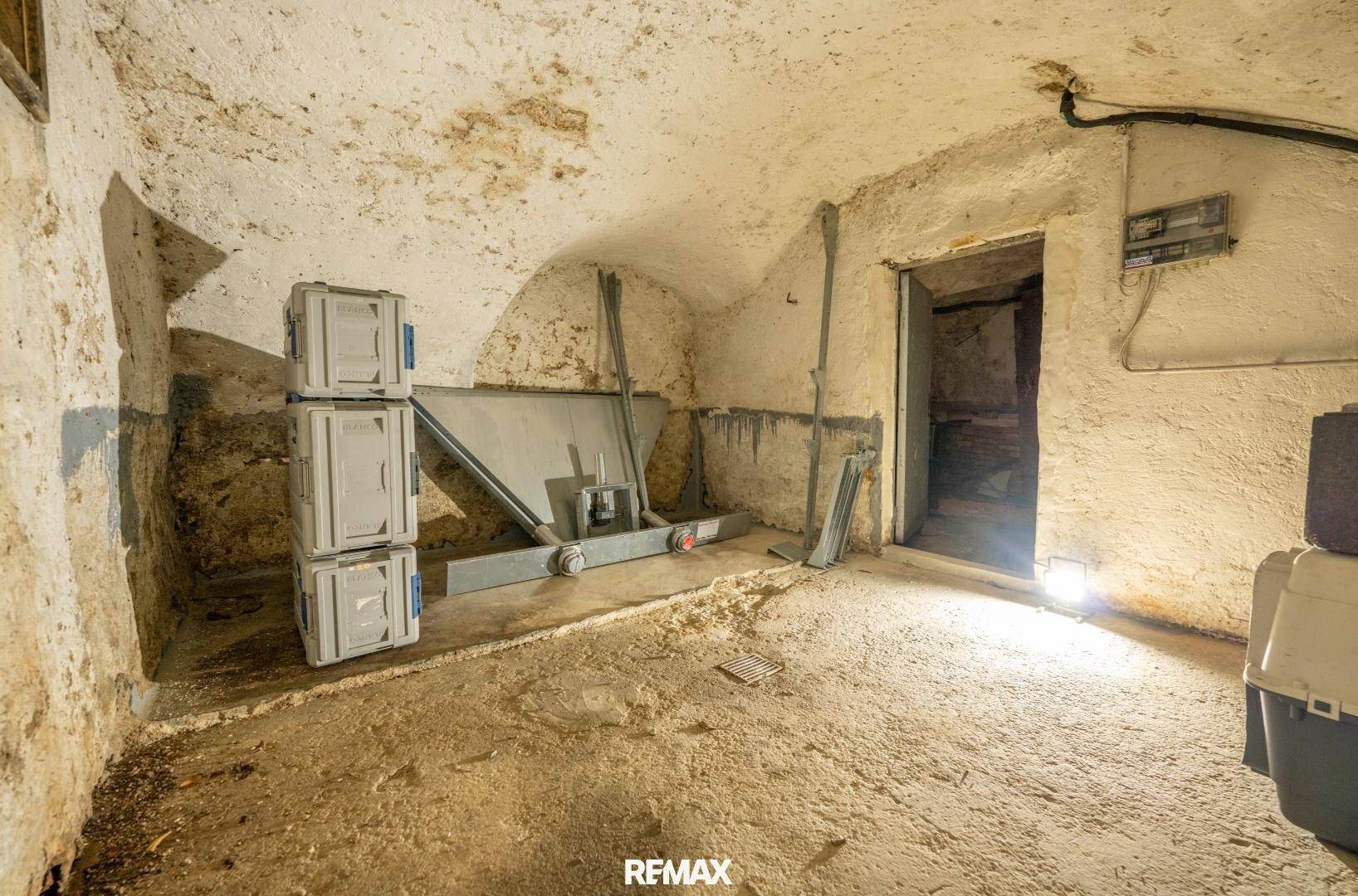 Rustikaler Kellerraum mit gewölbter Decke, rauen Wänden und Lagerbehältern, ideal als Abstellfläche.