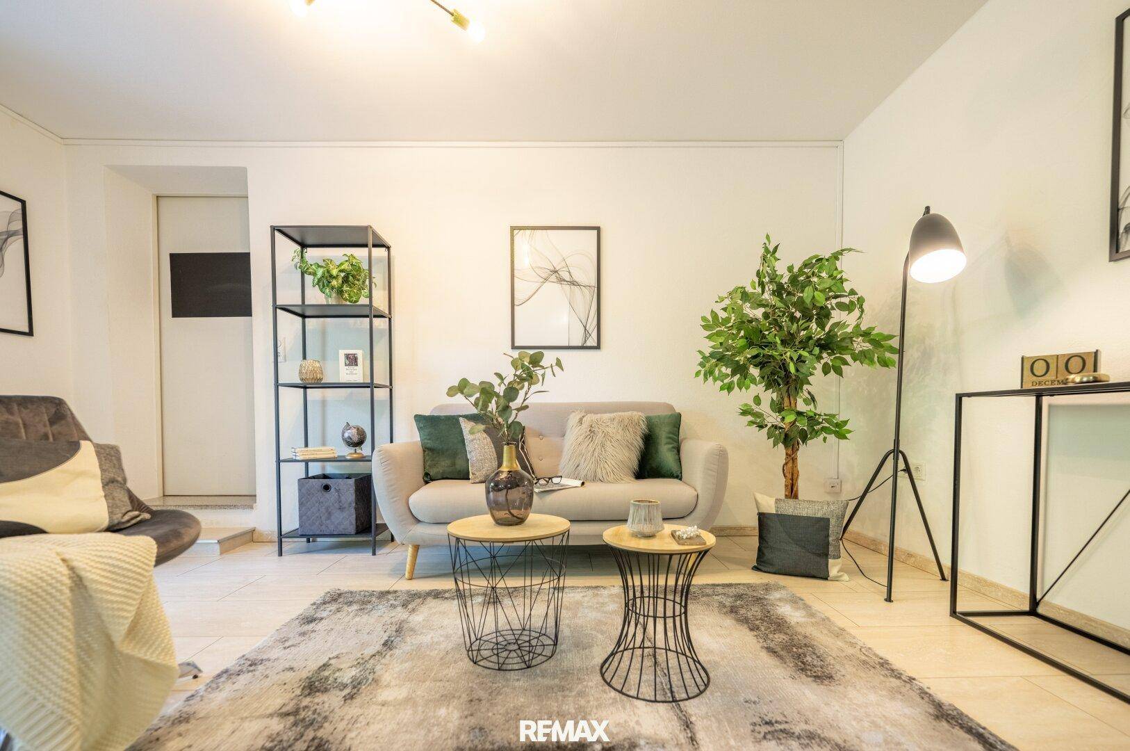 Gemütliches Wohnzimmer mit modernem Sofa, Teppich und dekorativen Pflanzen.