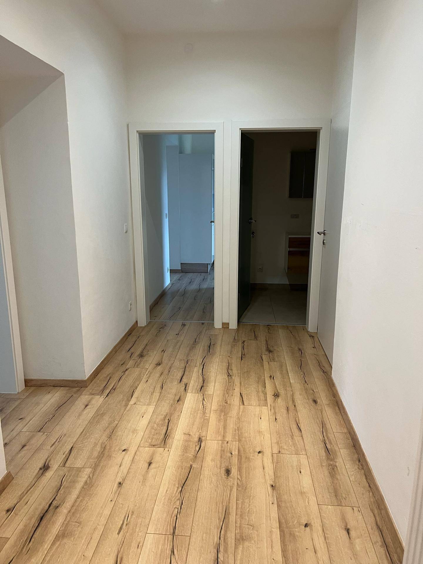 Heller Flur mit Laminatboden und Zugang zu angrenzenden Räumen.