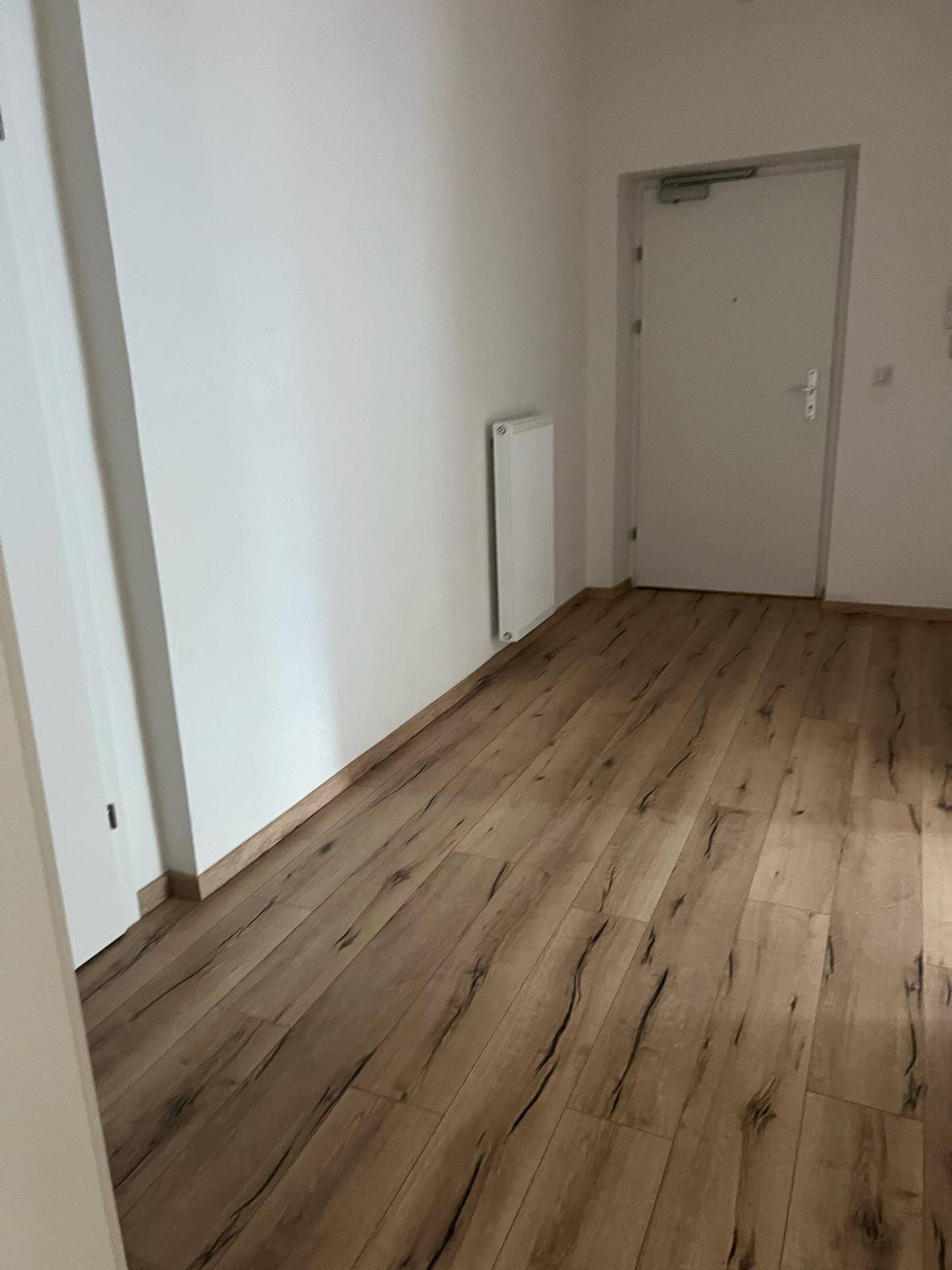 Eingangsbereich mit Laminatboden, weißer Tür und Heizkörper an der Wand.