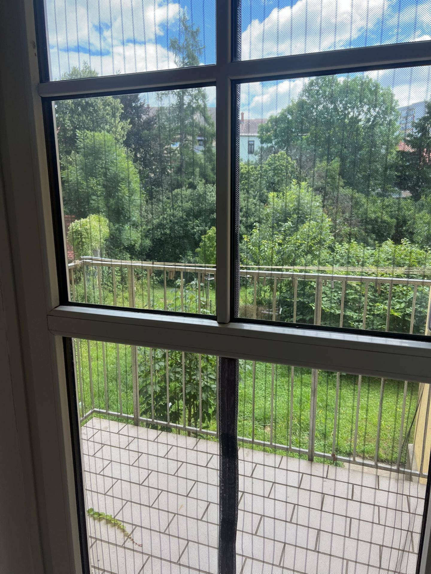 Blick aus dem Fenster auf einen Balkon mit Geländer und grüne Bäume.