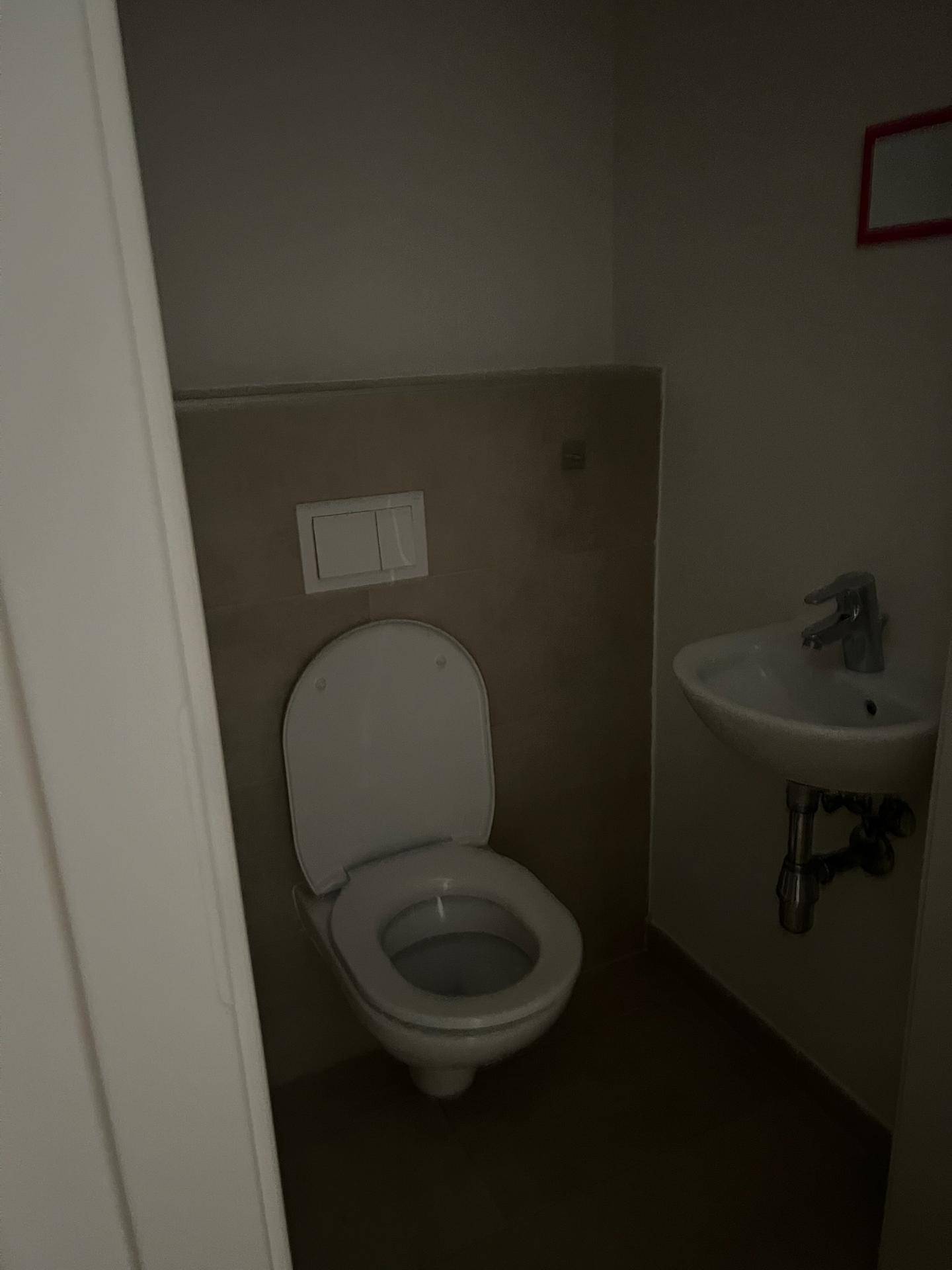 Kleines Gäste-WC mit wandhängender Toilette und Handwaschbecken.