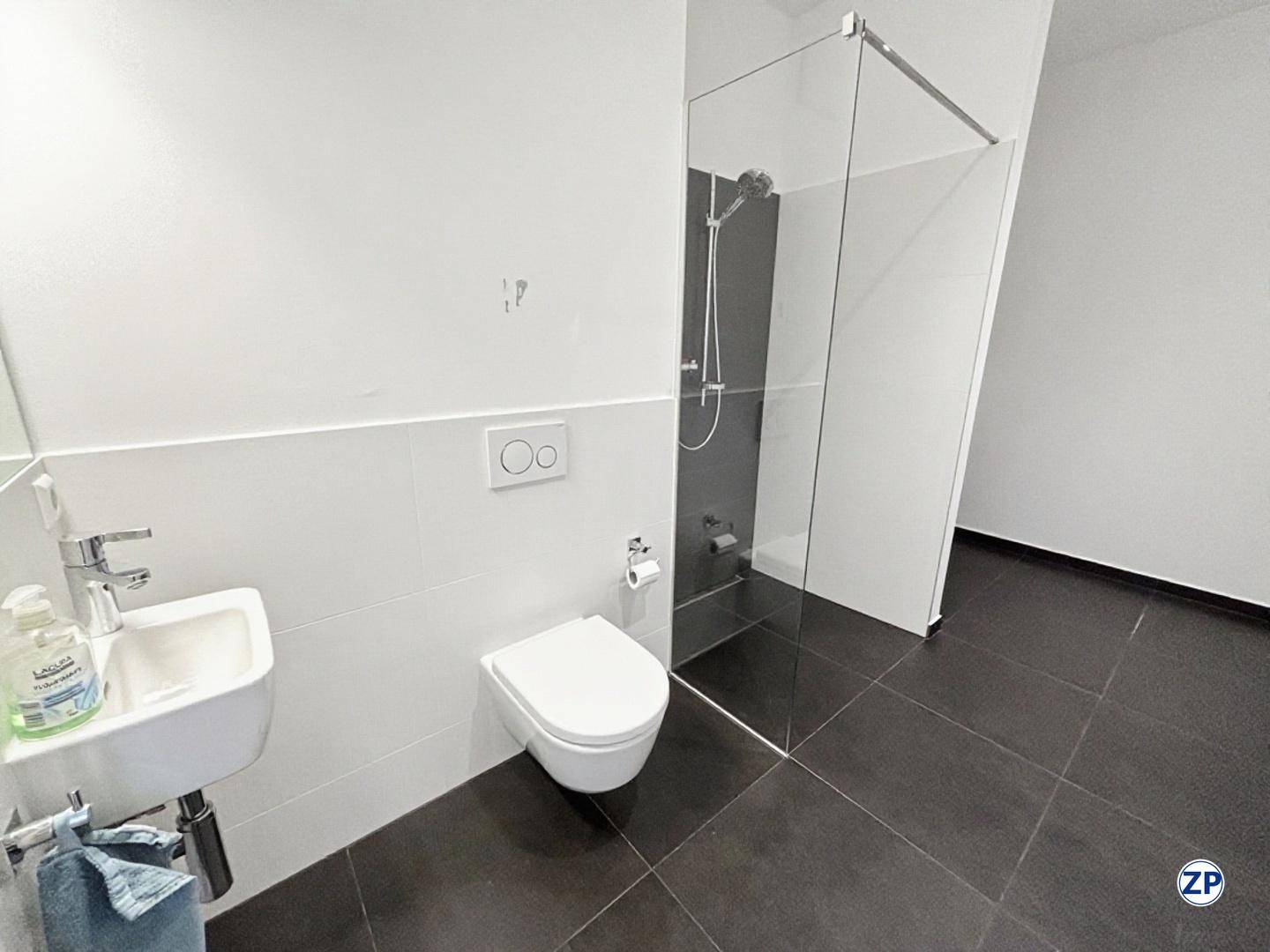 Kleines, modernes Gäste-WC mit dunklen Bodenfliesen und einer begehbaren Dusche.