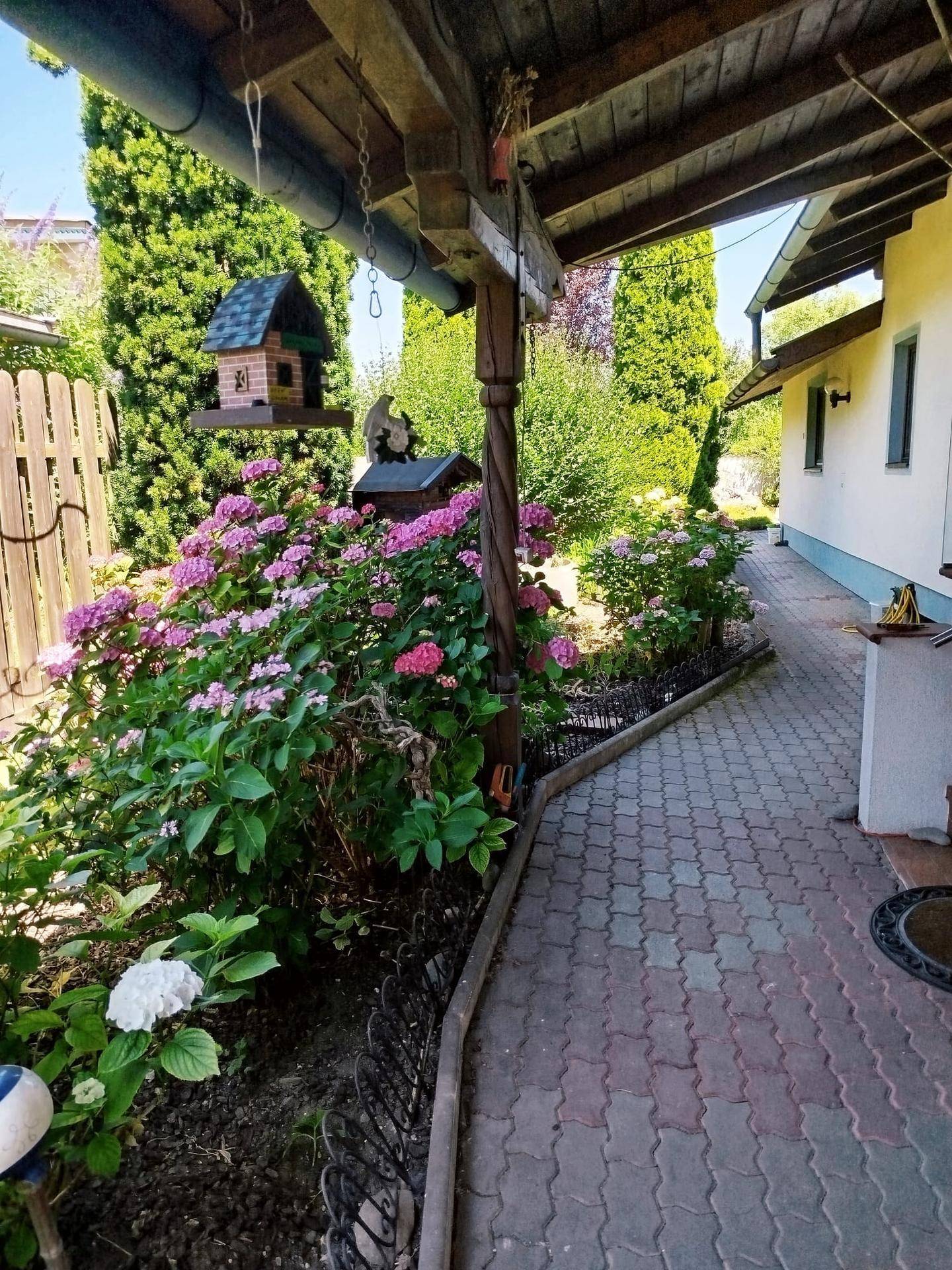 Seitlicher Gartenweg mit blühenden Hortensien, einem Vogelhaus und hohen Zypressen im Sonnenlicht.
