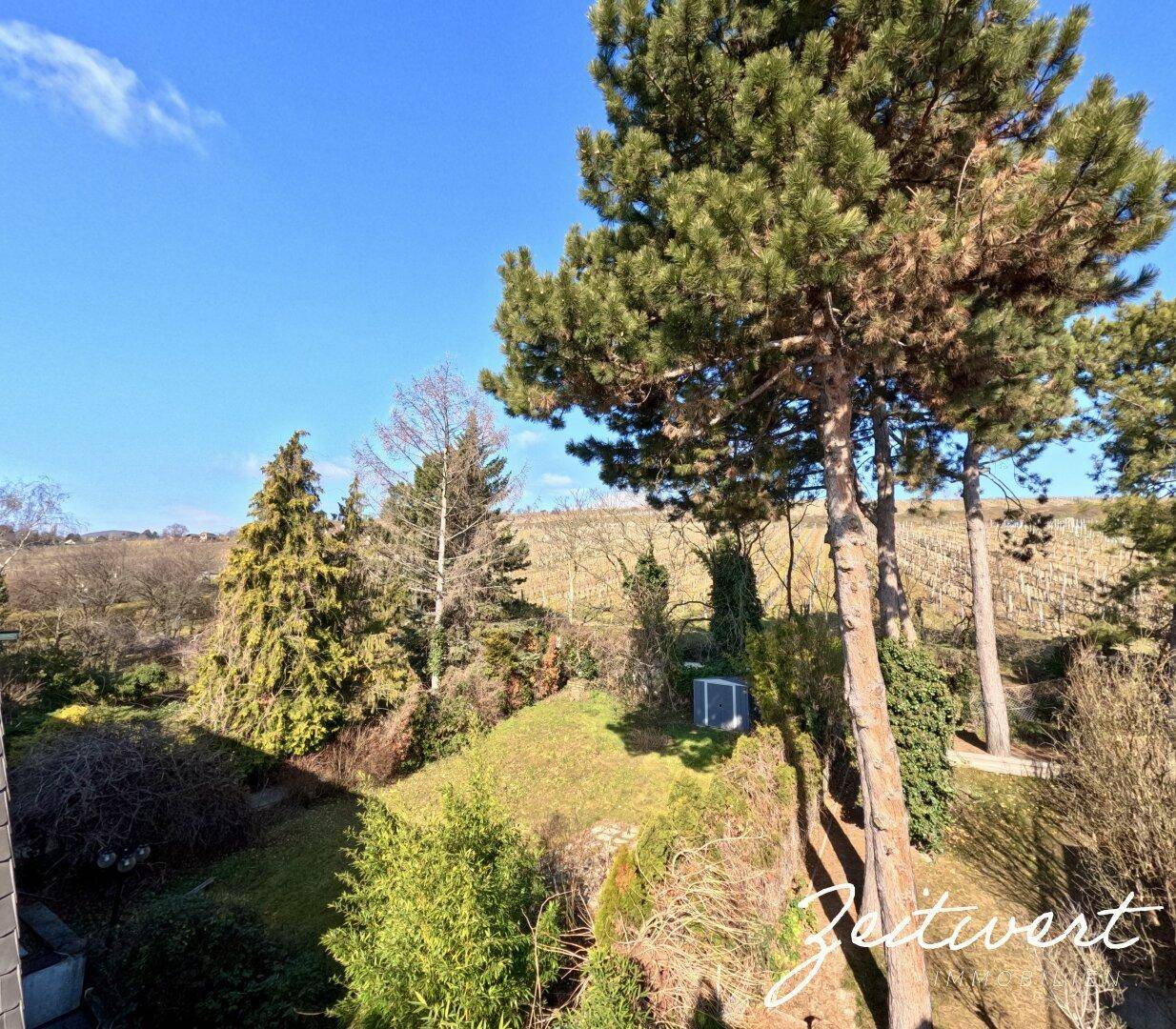 LAGE LAGE LAGE - NUSSBERG - wunderschön gelegene Wohnung mit begrüntem DACHGARTEN und Blick über Wien und den Wiener Nussberg - Ansicht 3