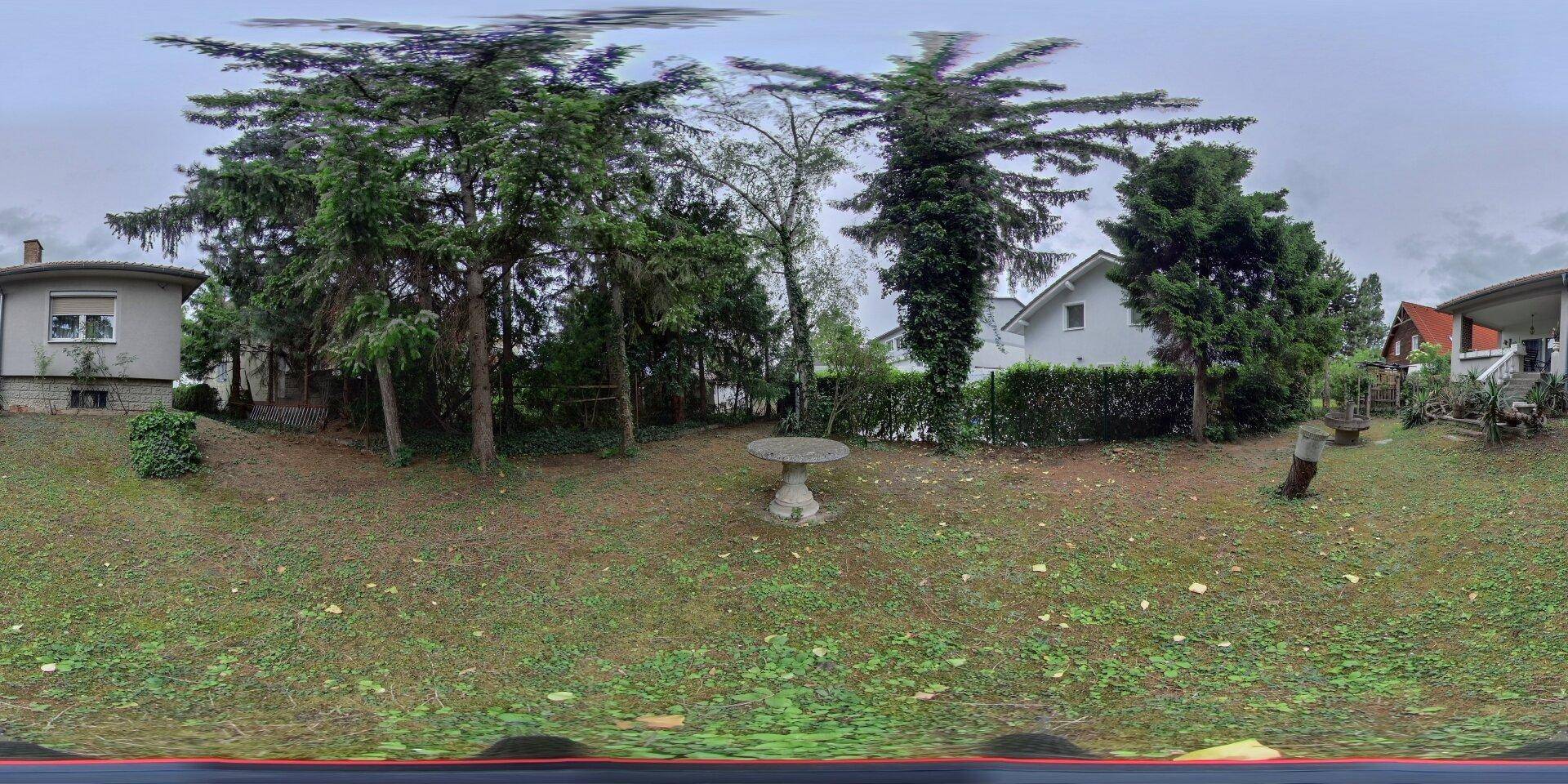 Slide 8