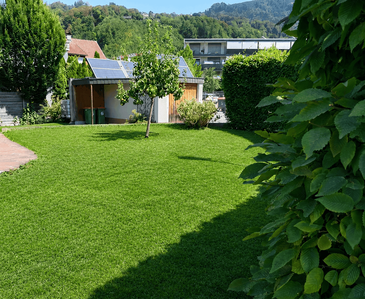 Gepflegter Garten mit Rasenfläche, Bäumen und einem Gebäude mit Solaranlage im Hintergrund.