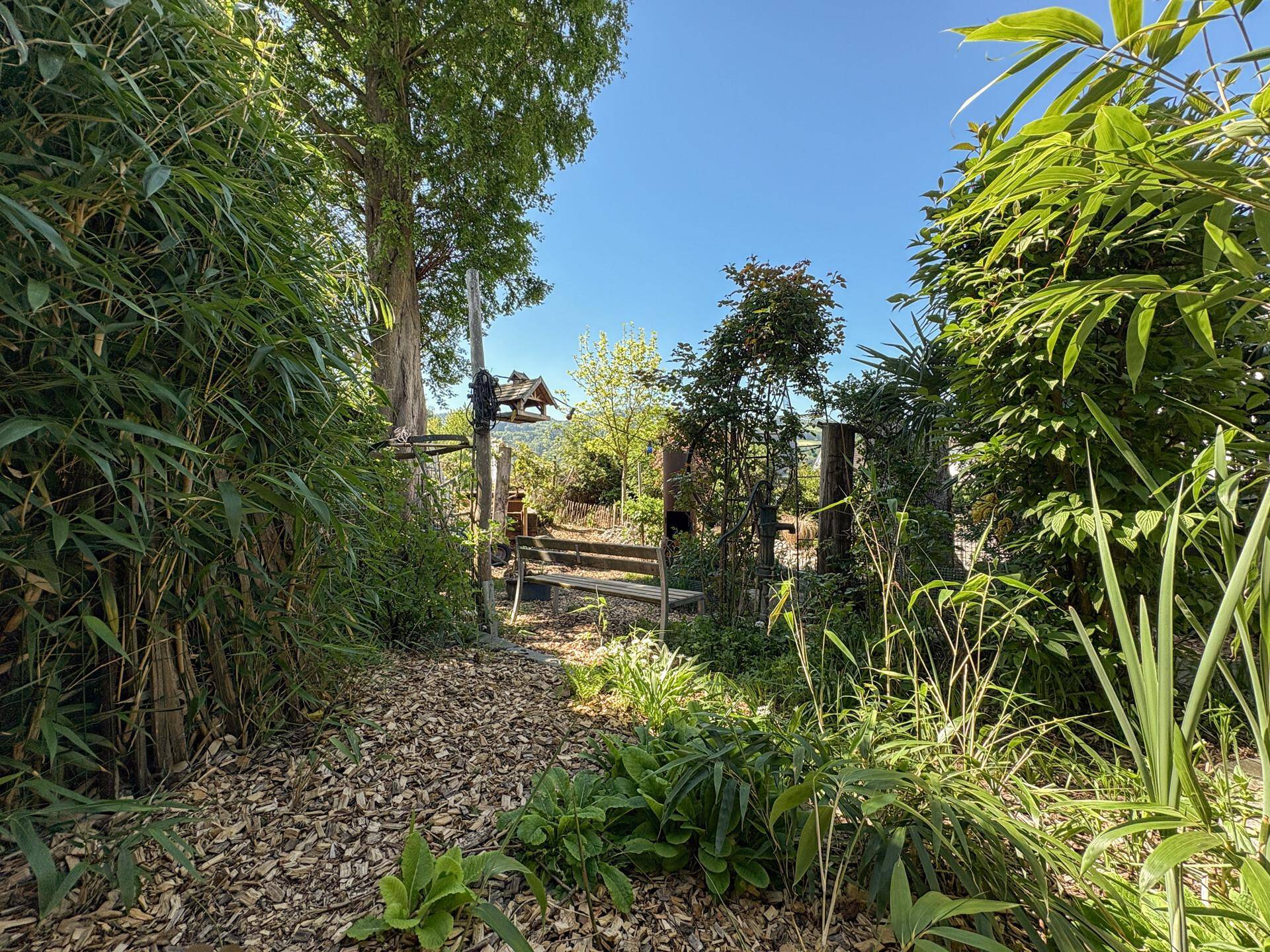 Naturbelassener Gartenweg umgeben von üppigem Grün und hohen Pflanzen.