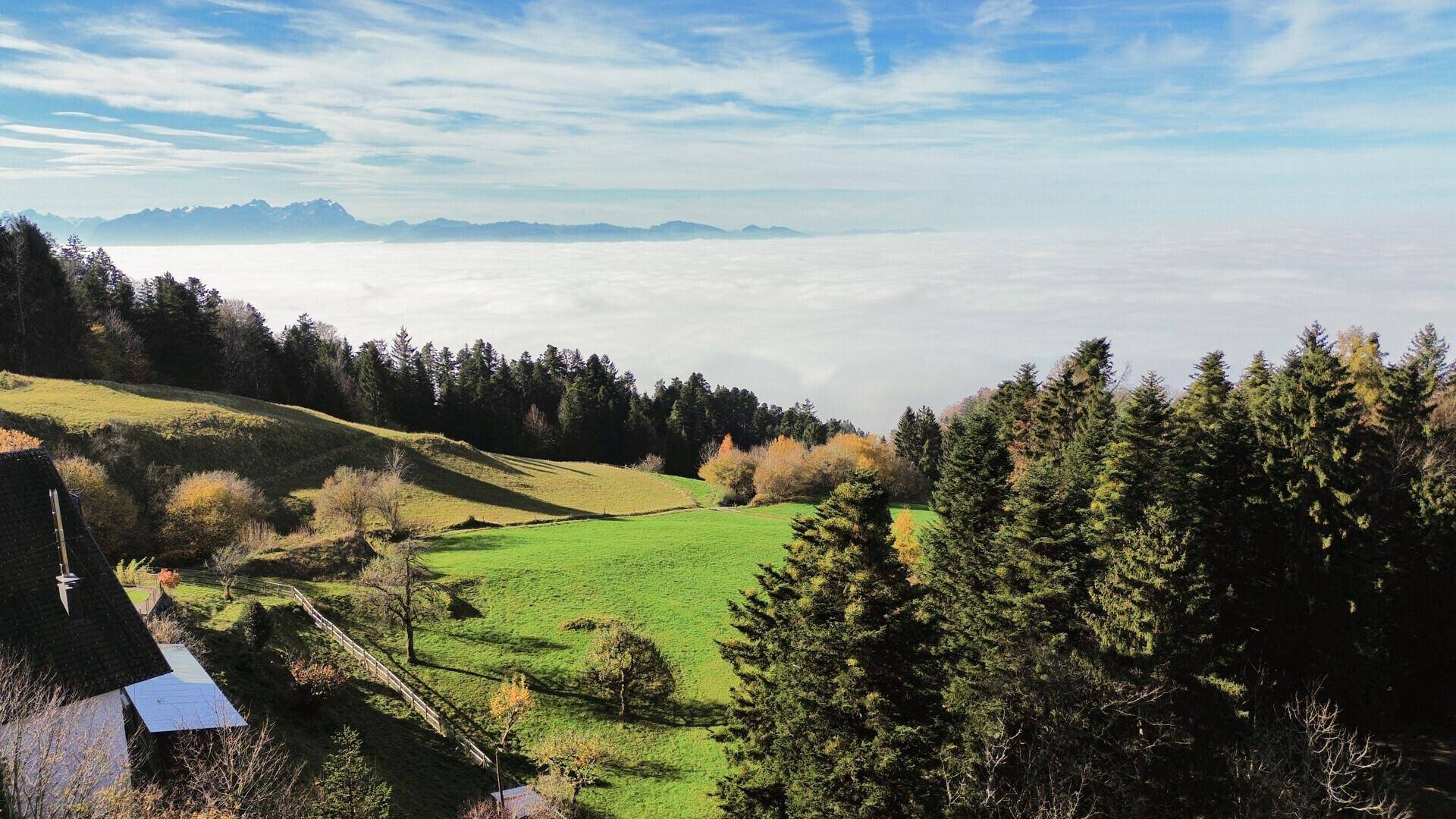 Atemberaubender Panoramablick über eine Nebeldecke auf die umliegende Landschaft und ferne Berge.