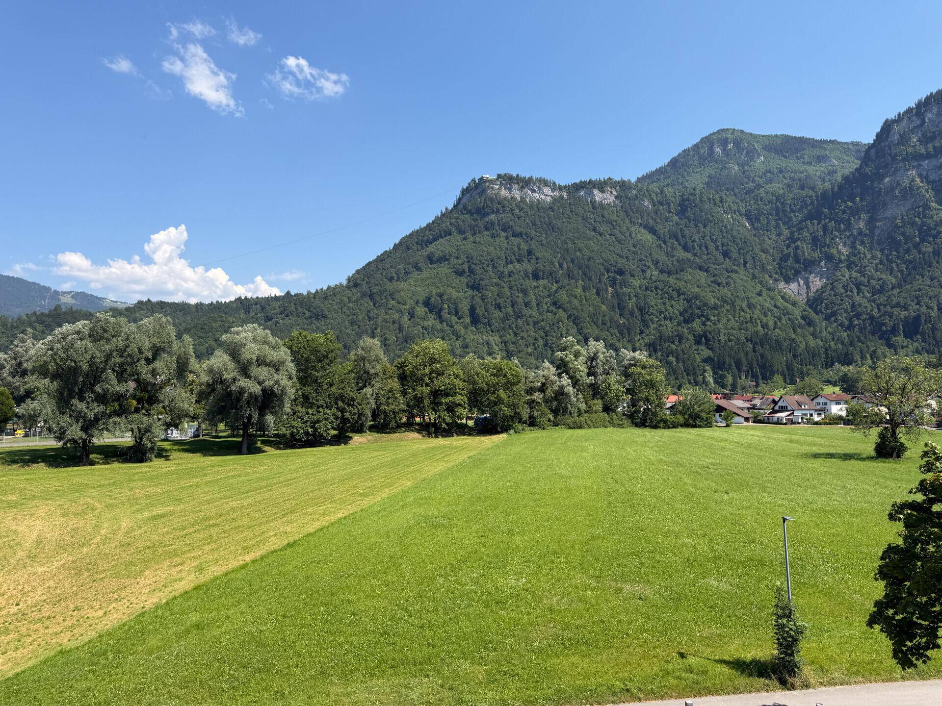 Weitläufige grüne Felder mit majestätischen Bergen im Hintergrund unter blauem Himmel.