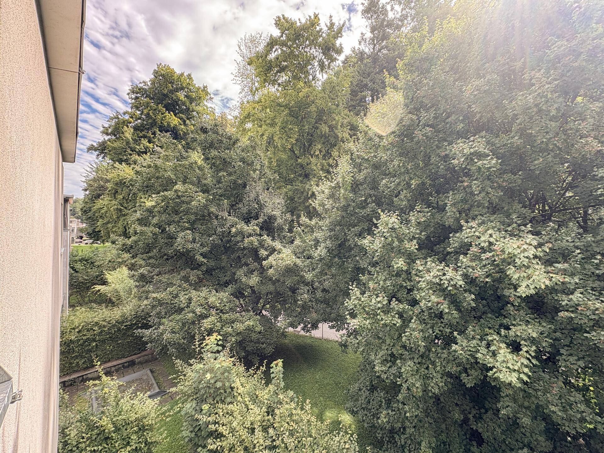 Ausblick ins Grüne