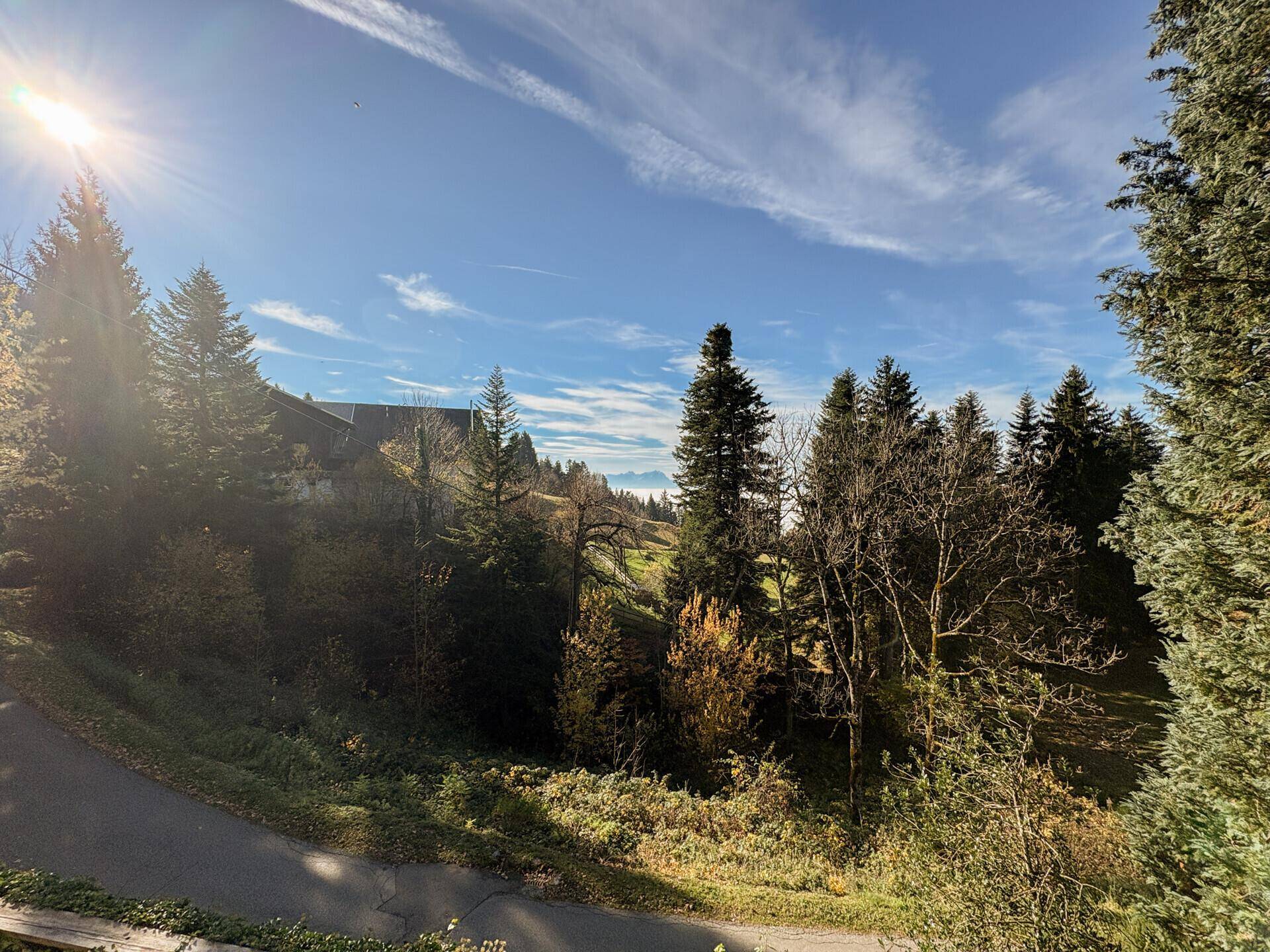 Sonniger Ausblick auf die bewaldete Hügellandschaft mit klarem Himmel und fernen Bergen.