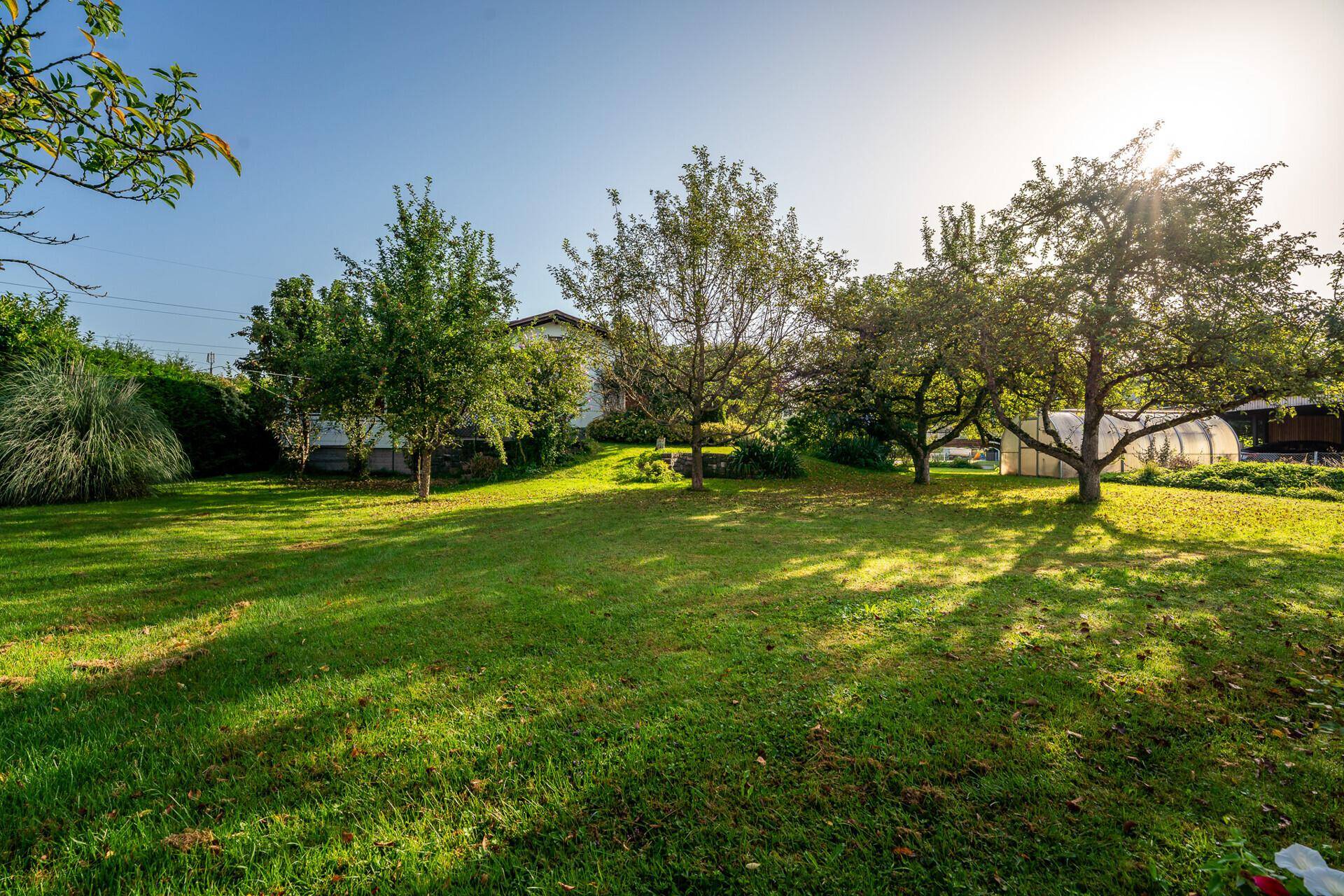 Weitläufiger, sonniger Garten mit altem Baumbestand und großer Rasenfläche.