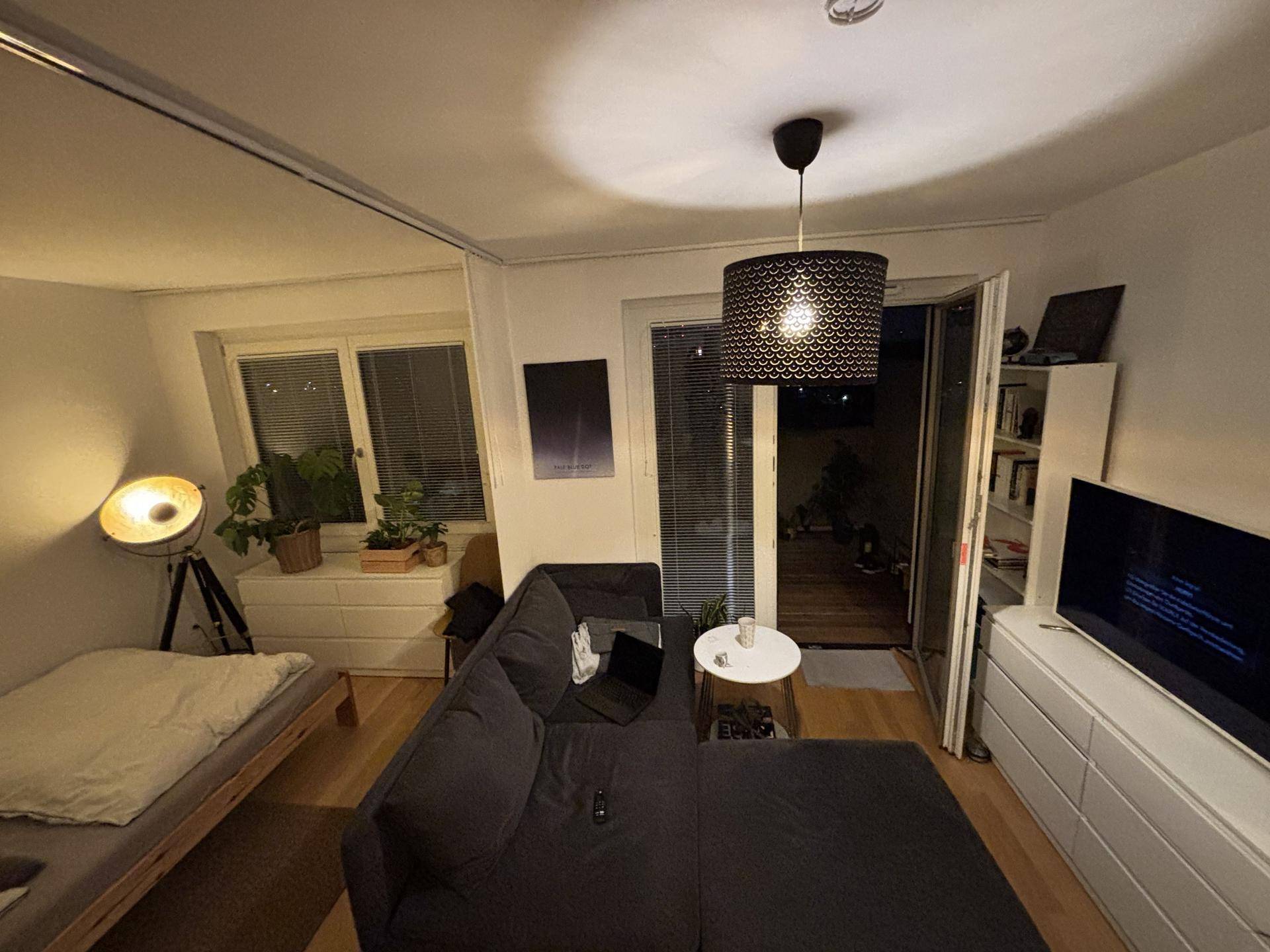 Wohnzimmer mit Schlafbereich, dunklem Sofa und Zugang zu einem Außenbereich.