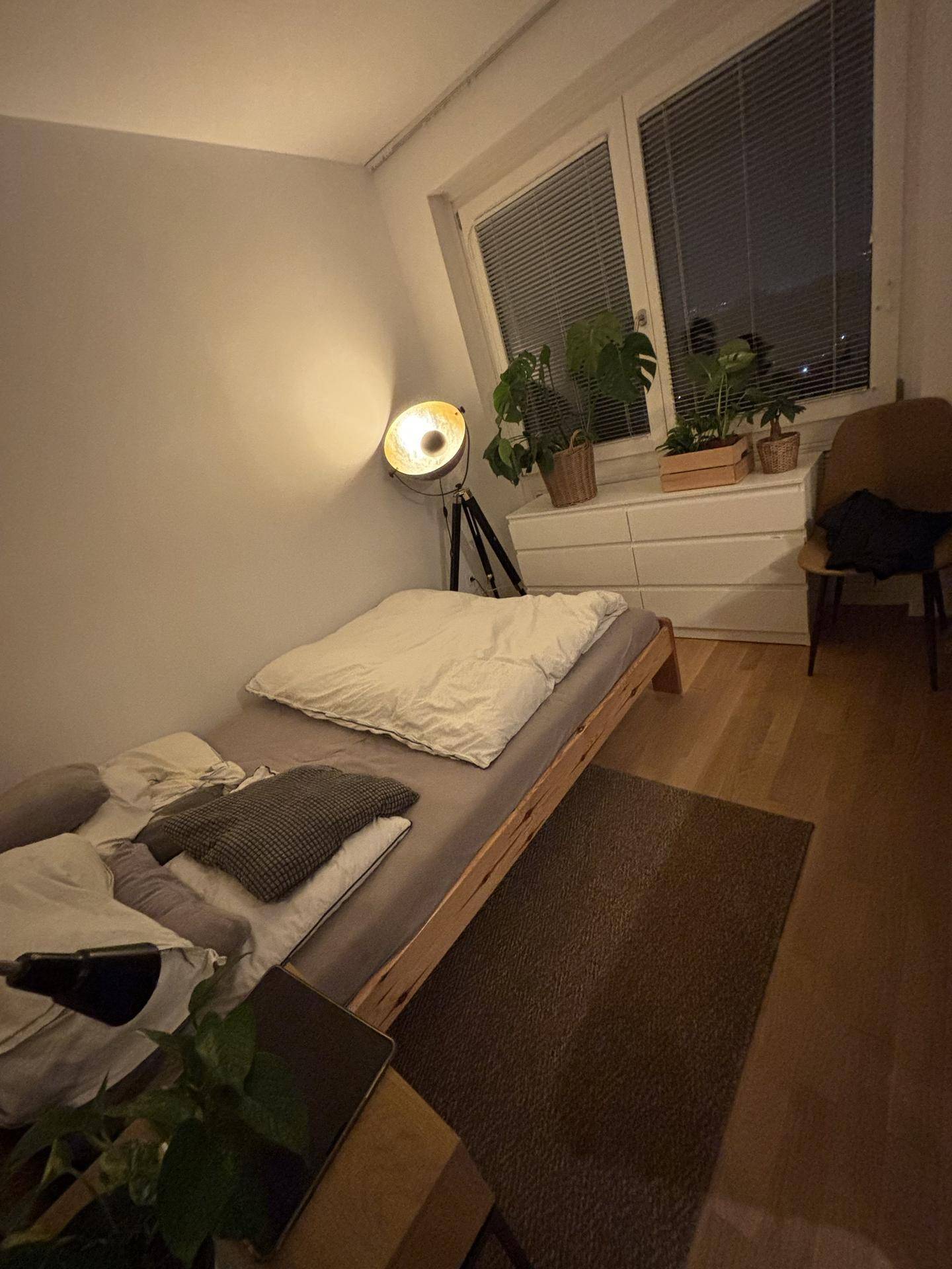 Schlafbereich mit einfachem Holzrahmenbett, Kommode und Pflanzen am Fenster.