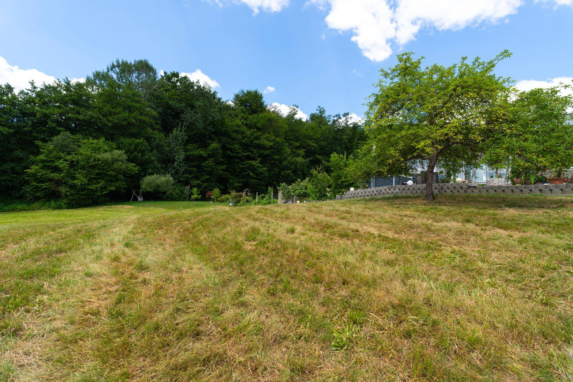 Weitläufiges Feld mit einem einzelnen Baum und einem Haus am Waldrand unter blauem Himmel.